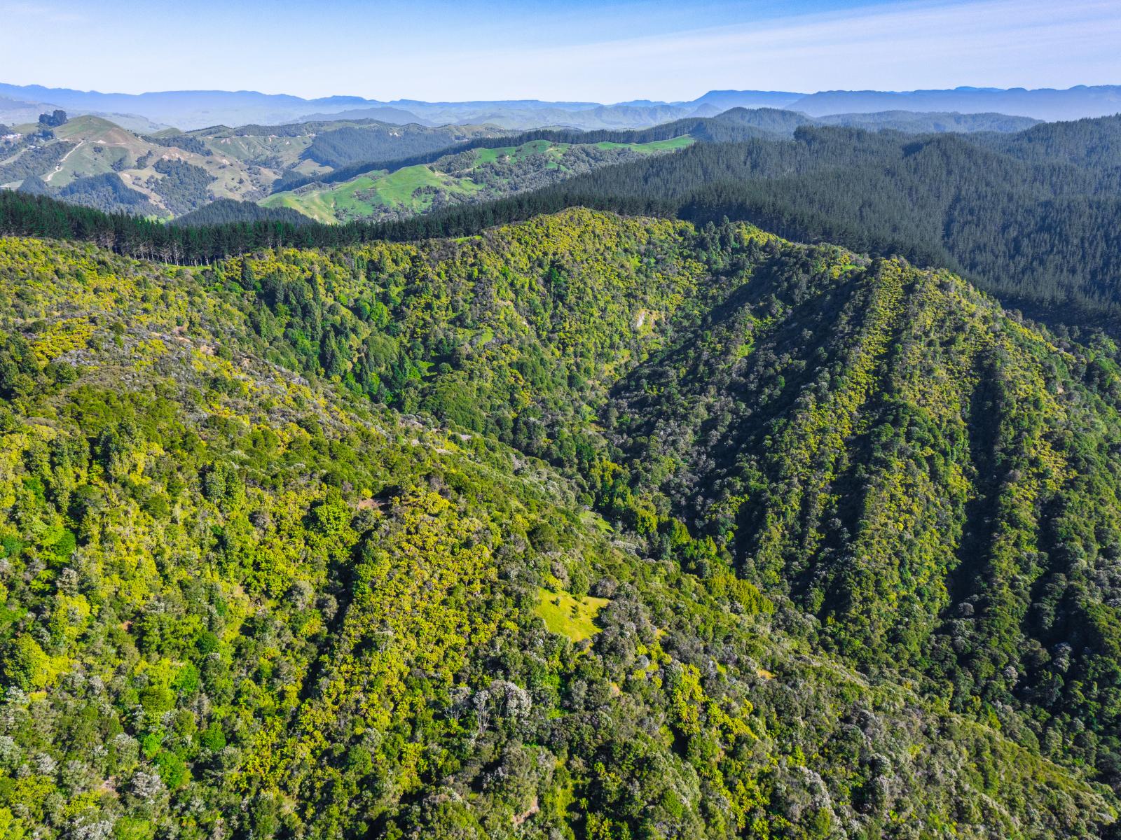 1169 Ruakaka Road, Tiniroto