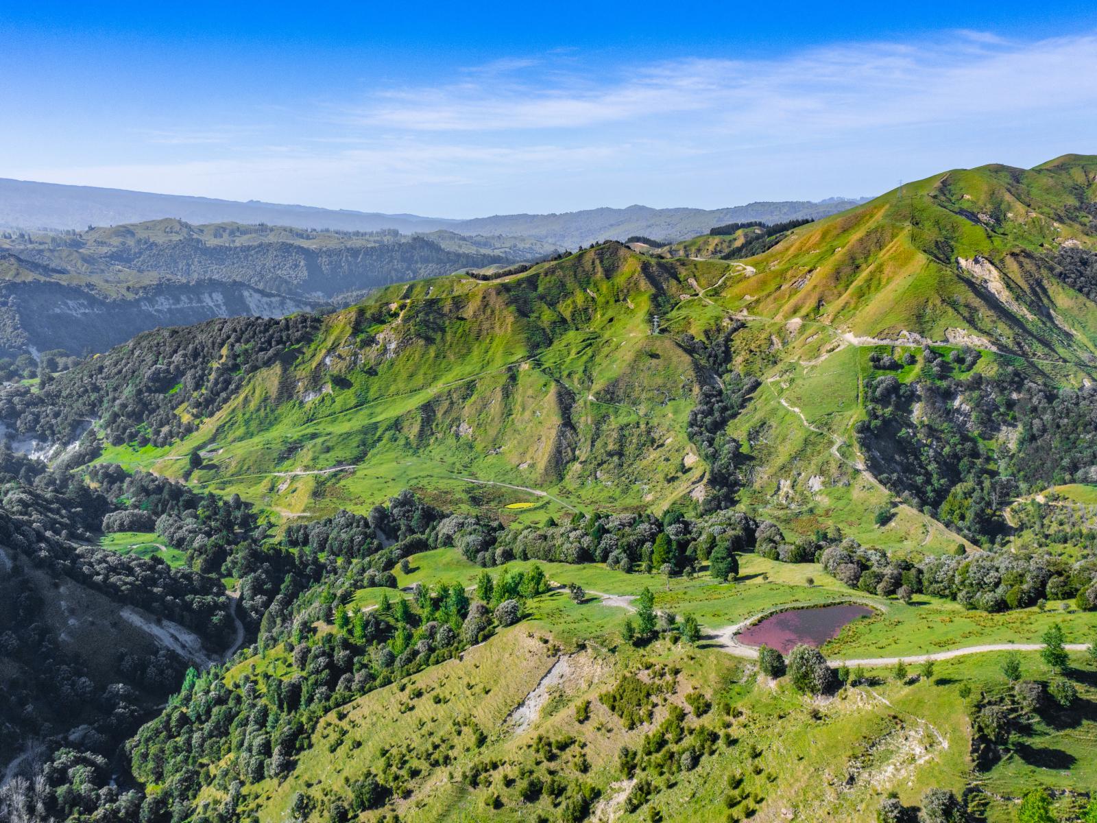 1169 Ruakaka Road, Tiniroto