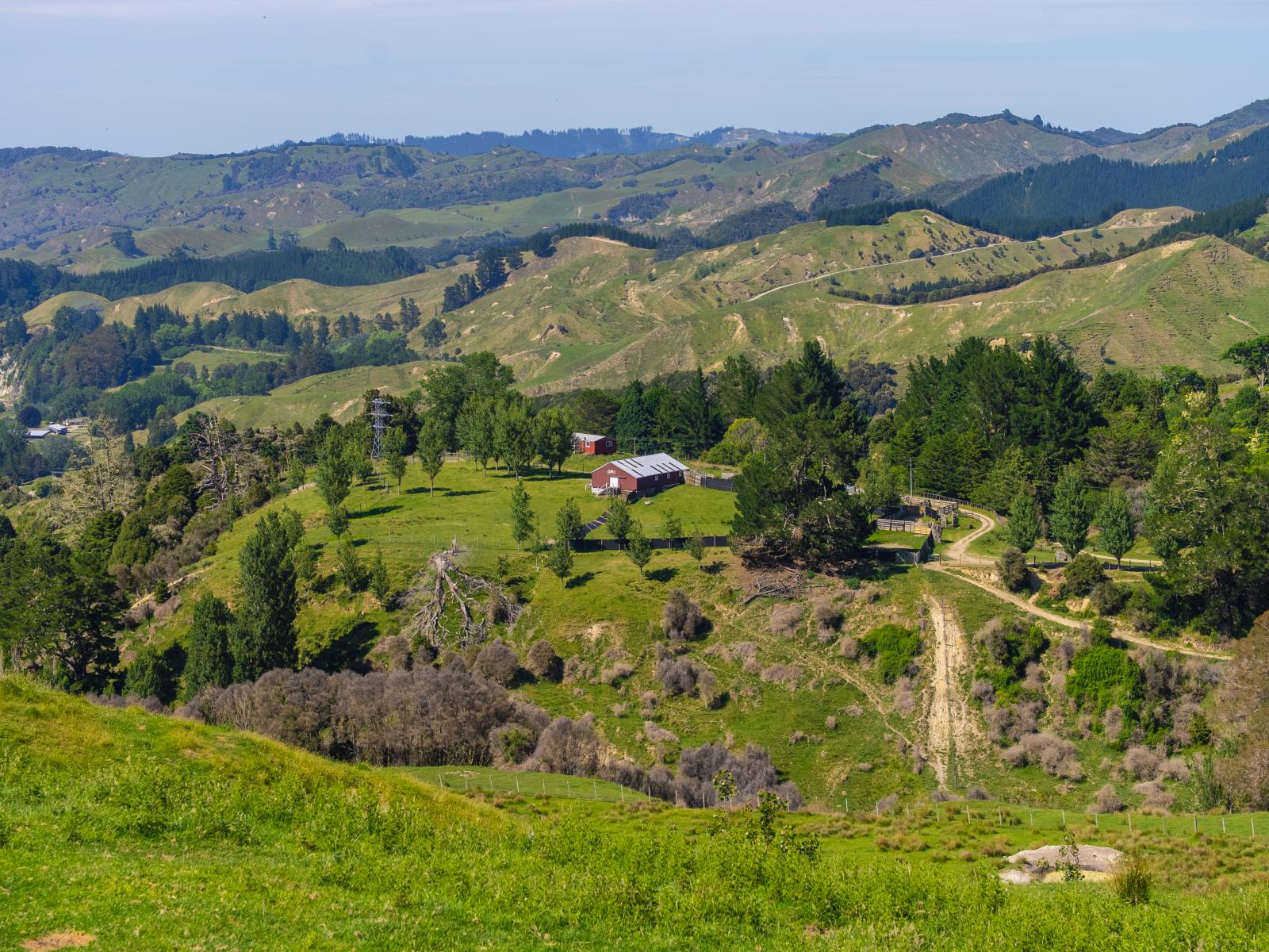 1169 Ruakaka Road, Tiniroto