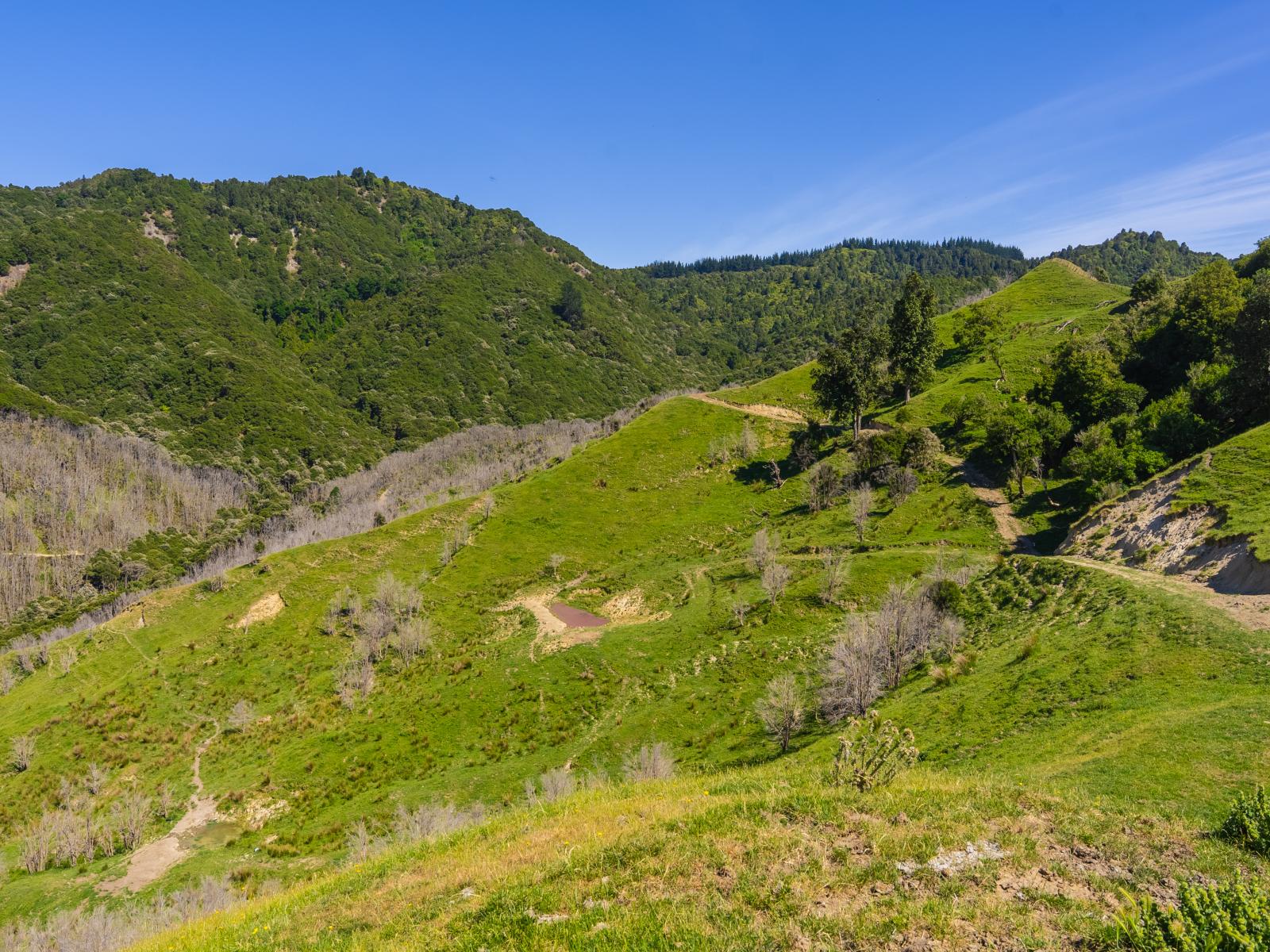 1169 Ruakaka Road, Tiniroto