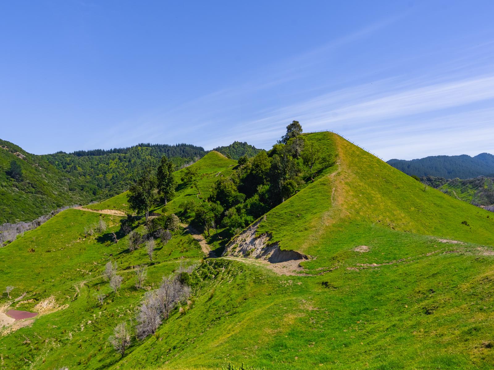 1169 Ruakaka Road, Tiniroto