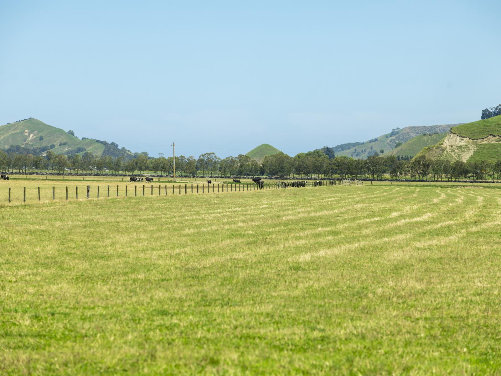 1343 Wharerata Road, Muriwai