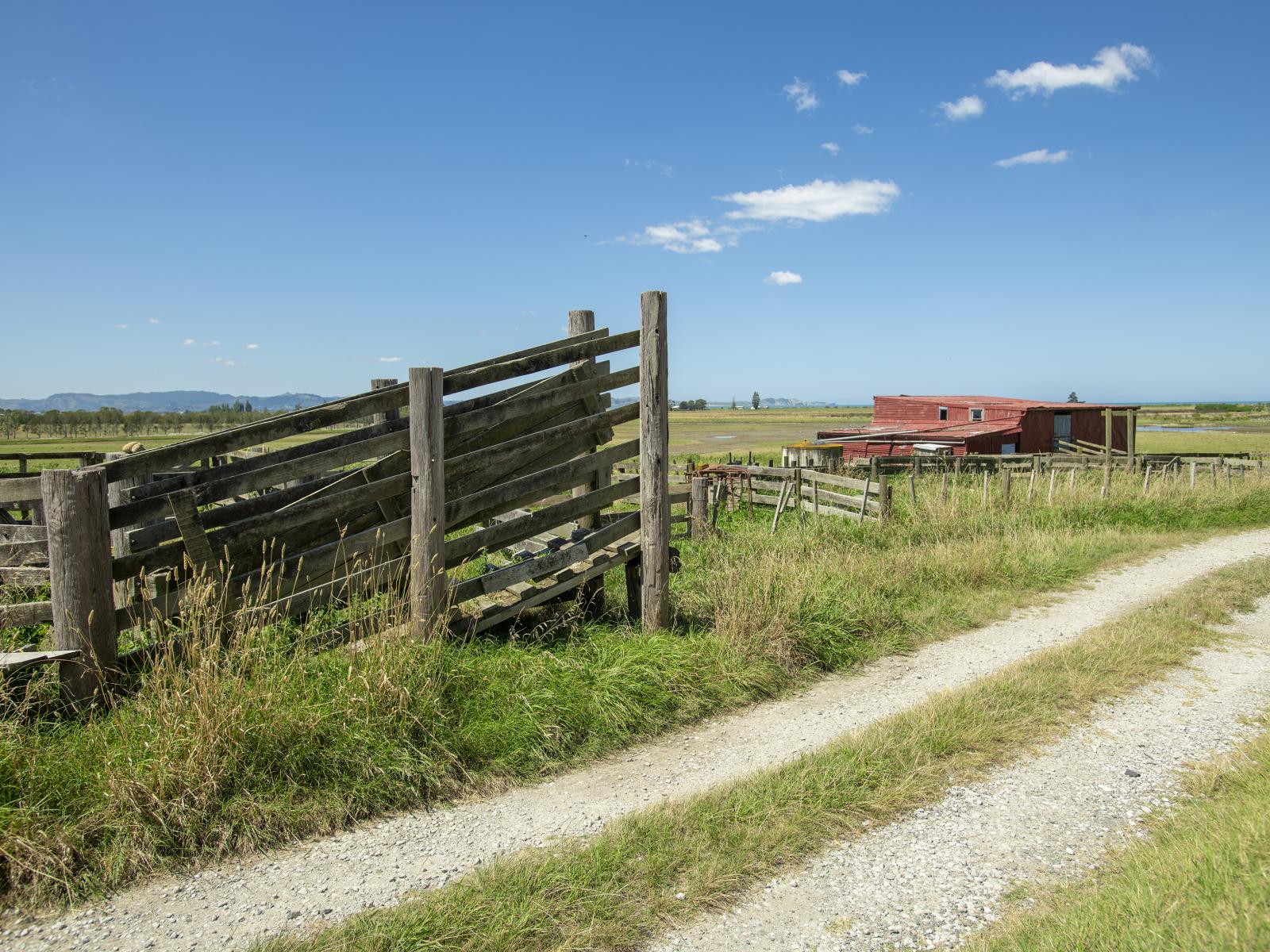 1343 Wharerata Road, Muriwai
