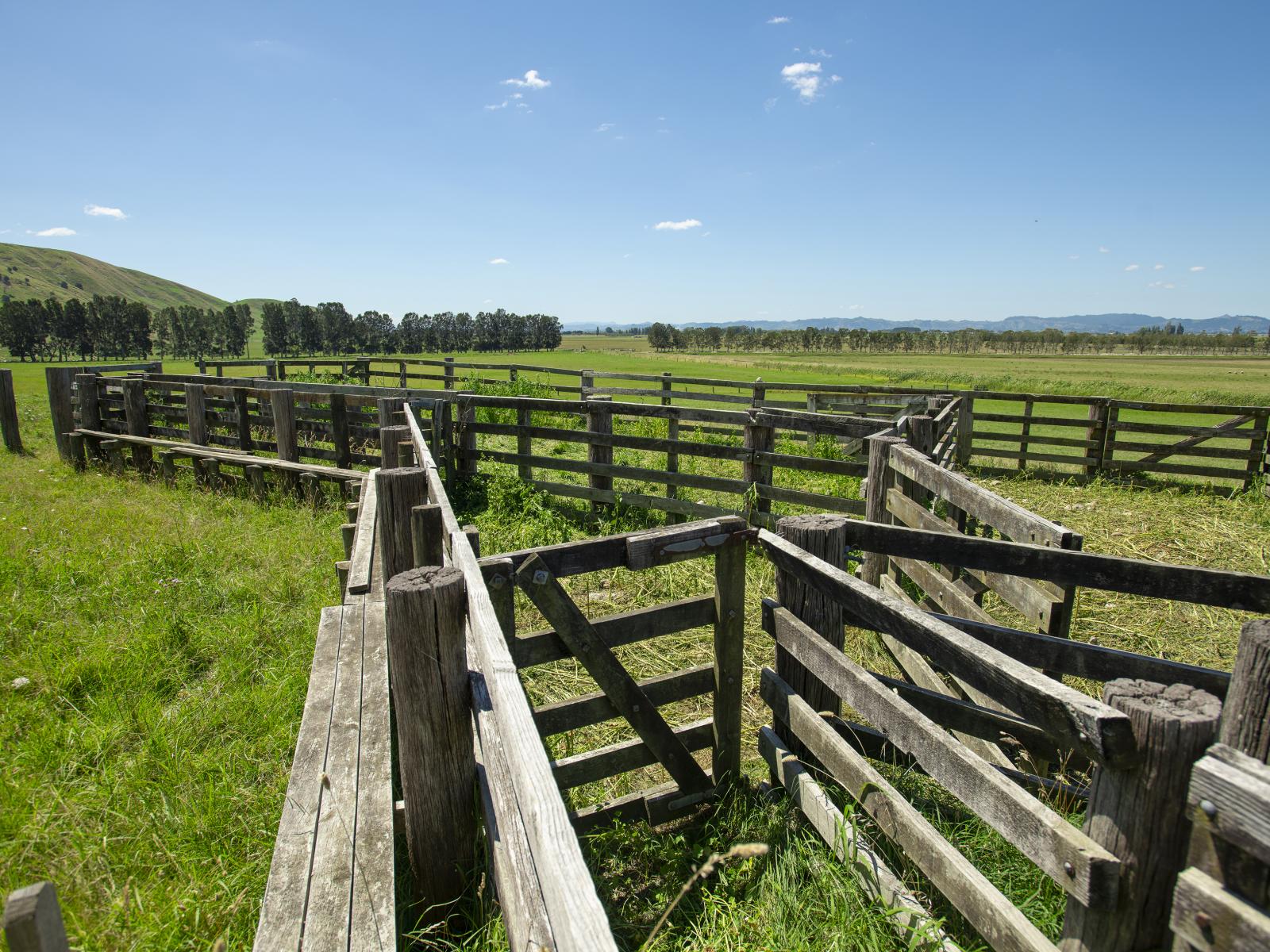 1343 Wharerata Road, Muriwai
