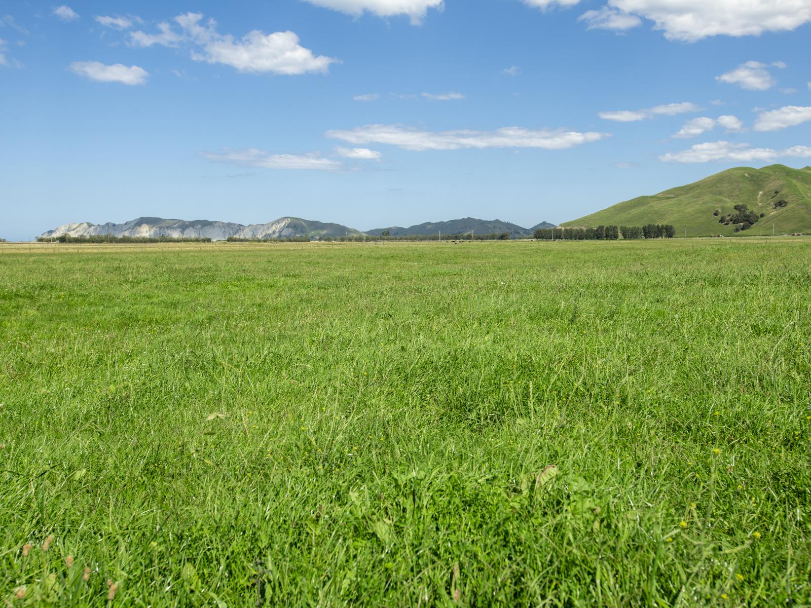 1343 Wharerata Road, Muriwai