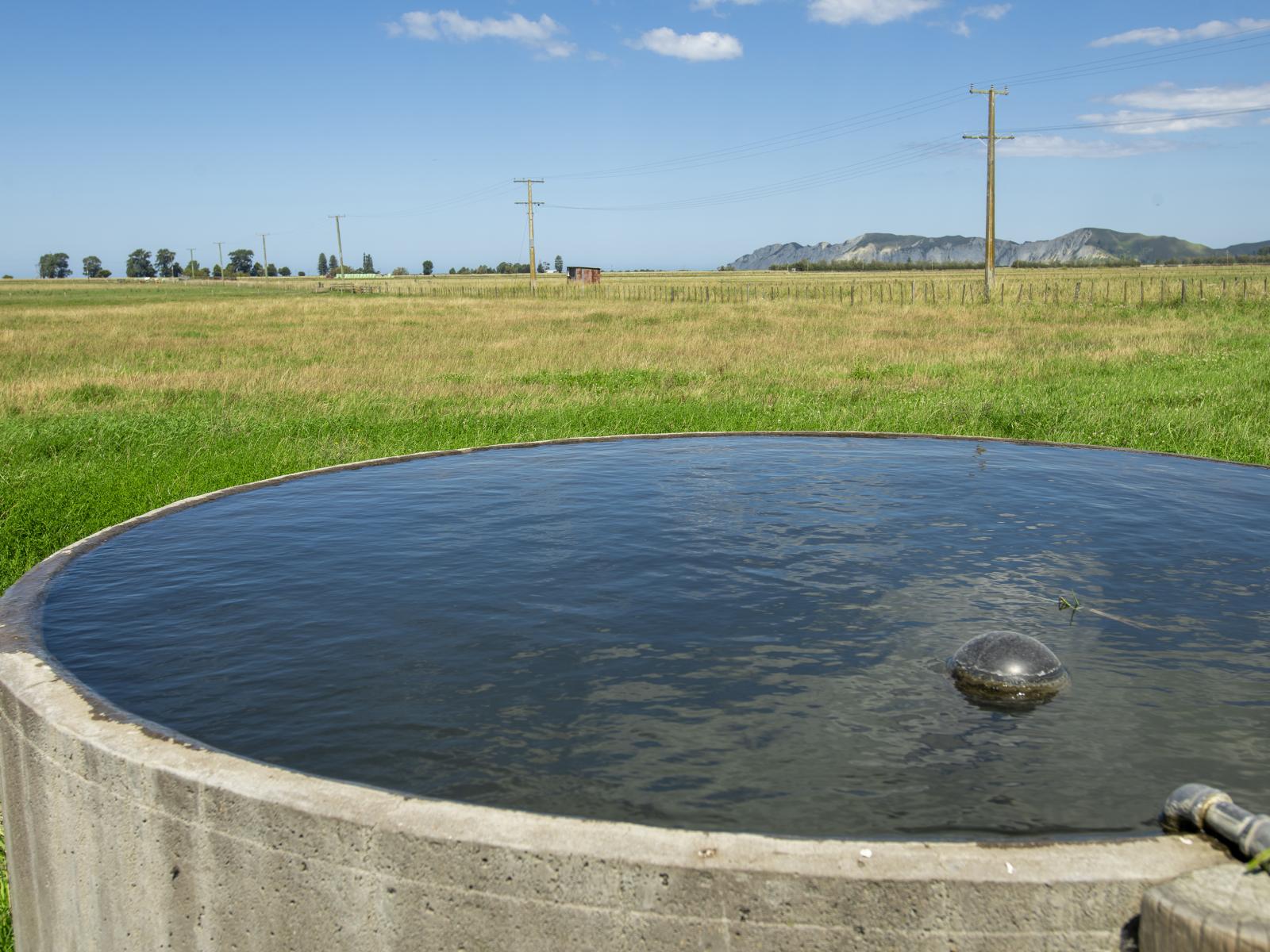1343 Wharerata Road, Muriwai