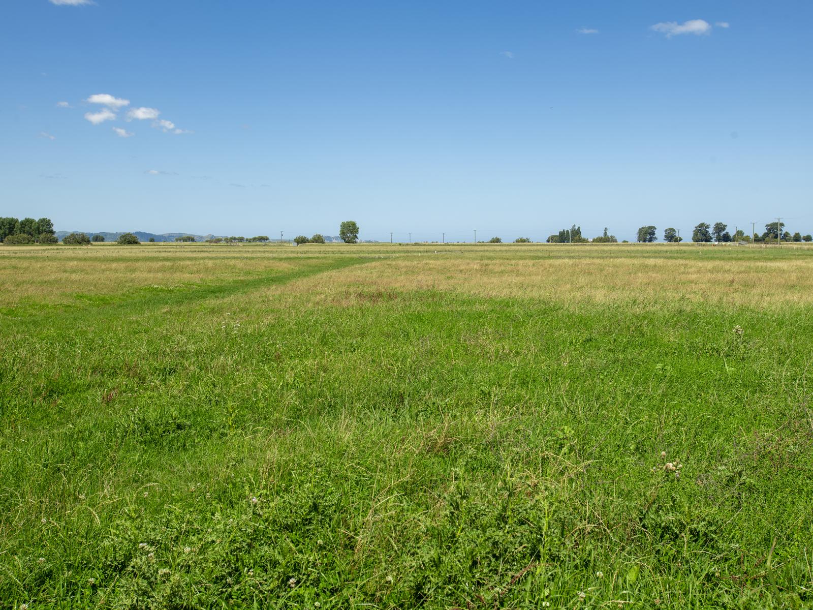 1343 Wharerata Road, Muriwai