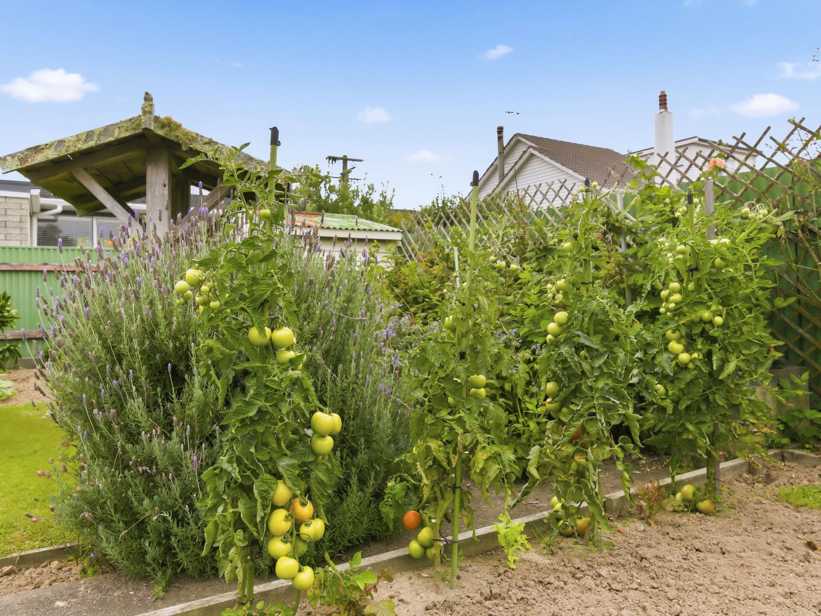 9 Chester Street, Levin