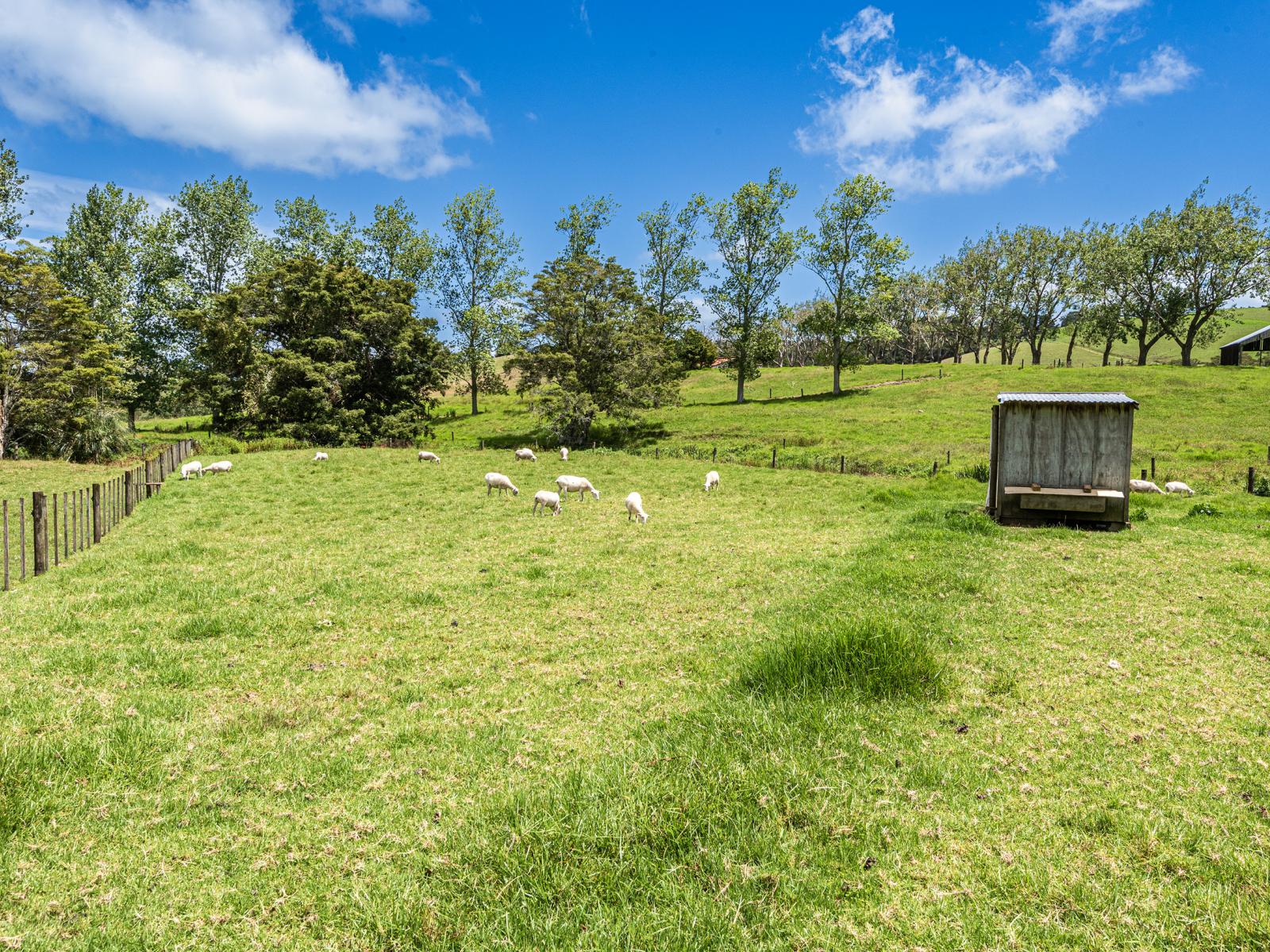 35 Thorburn Road, Ruatangata