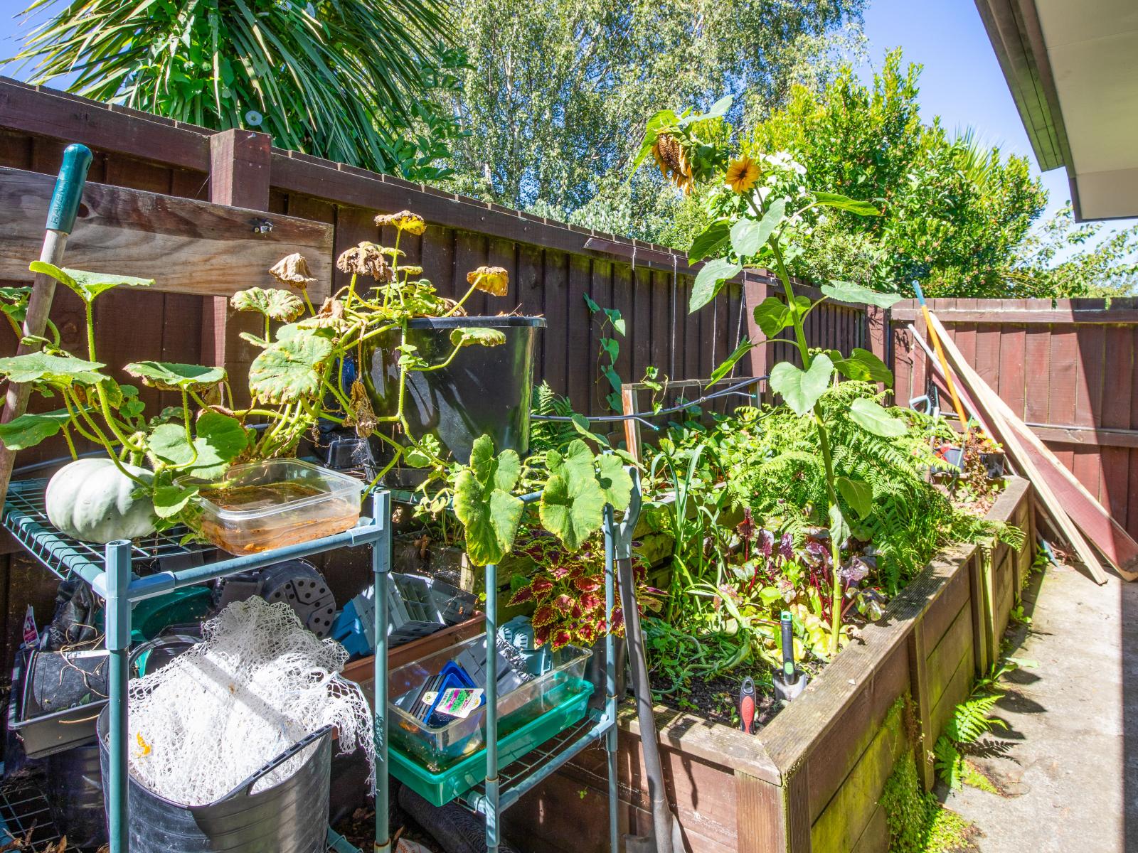 31A Dalkeith Street, Hoon Hay