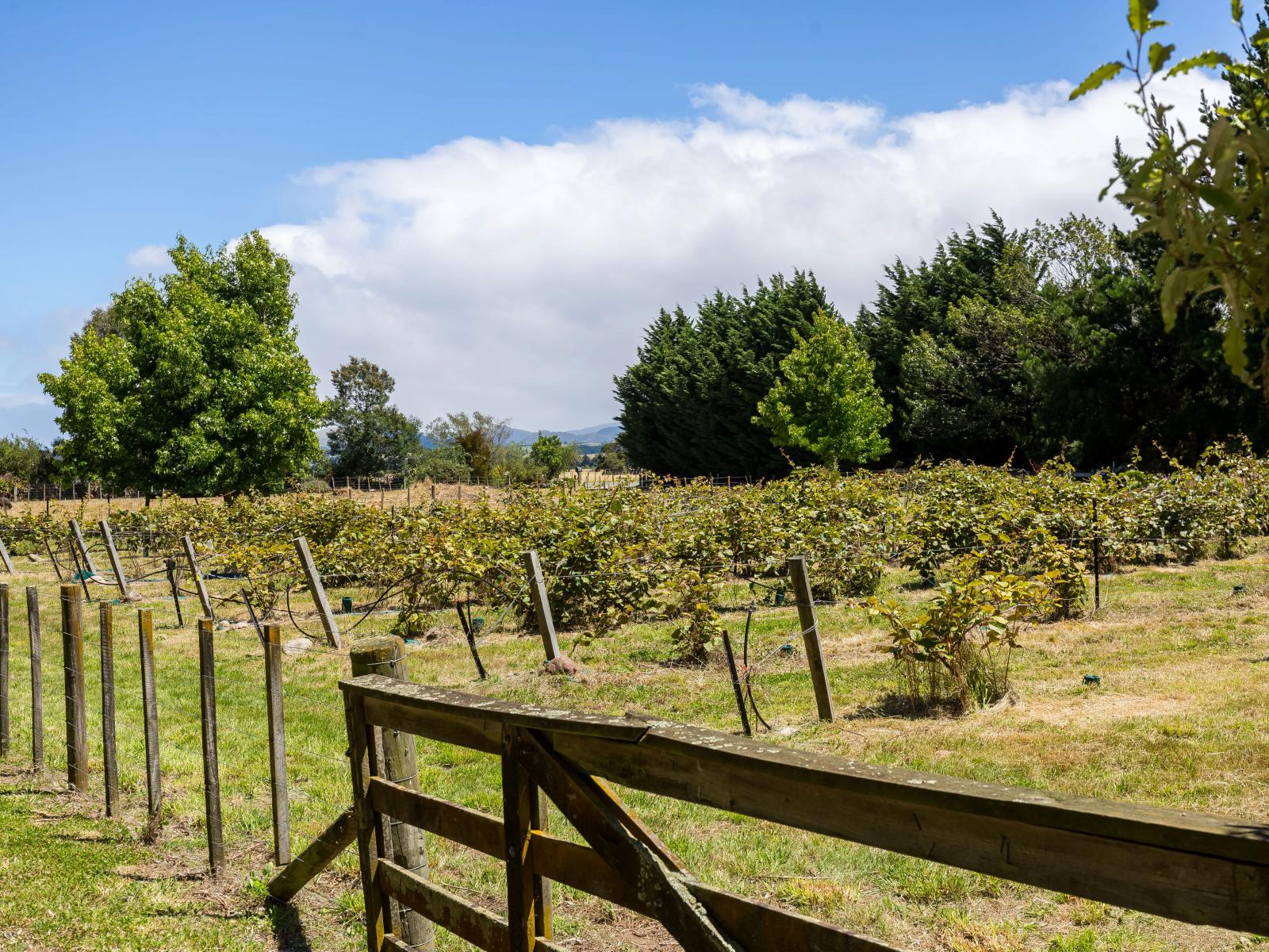 842 State Highway 2, Masterton