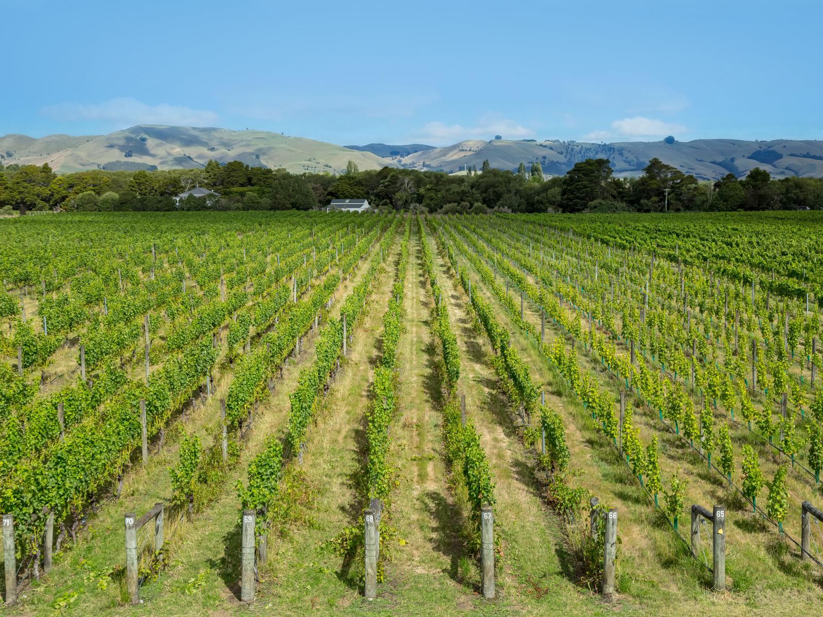 224 Dakins Road, East Taratahi