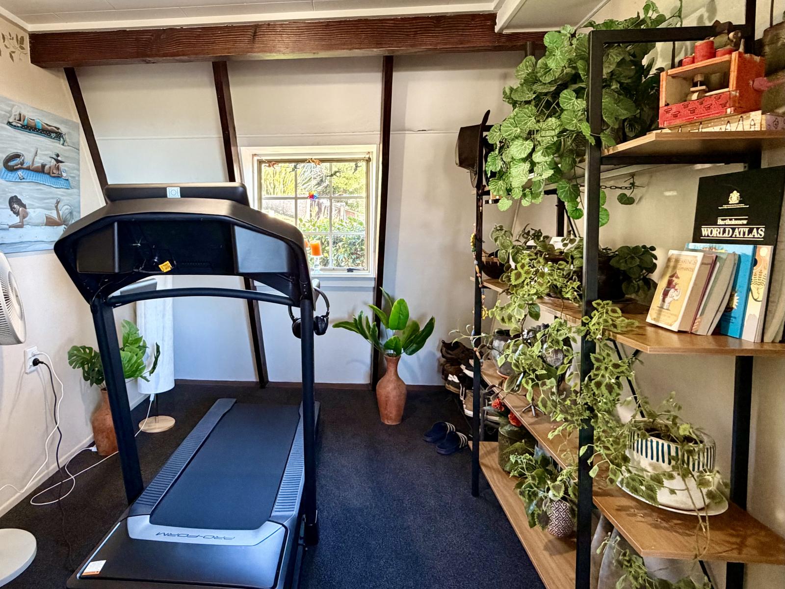 7 Tay Street, Oamaru