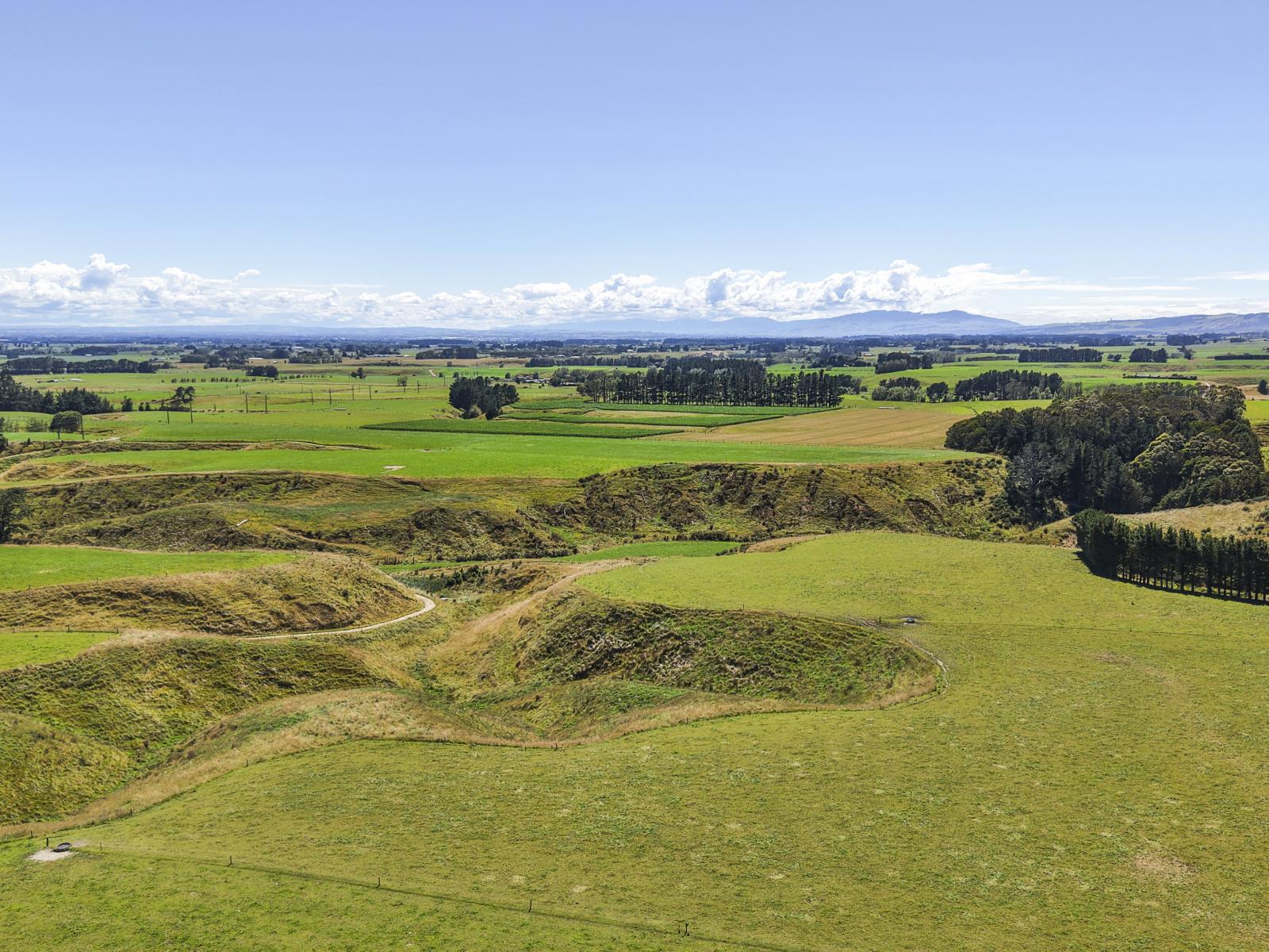 1347 Tennent Drive, Linton