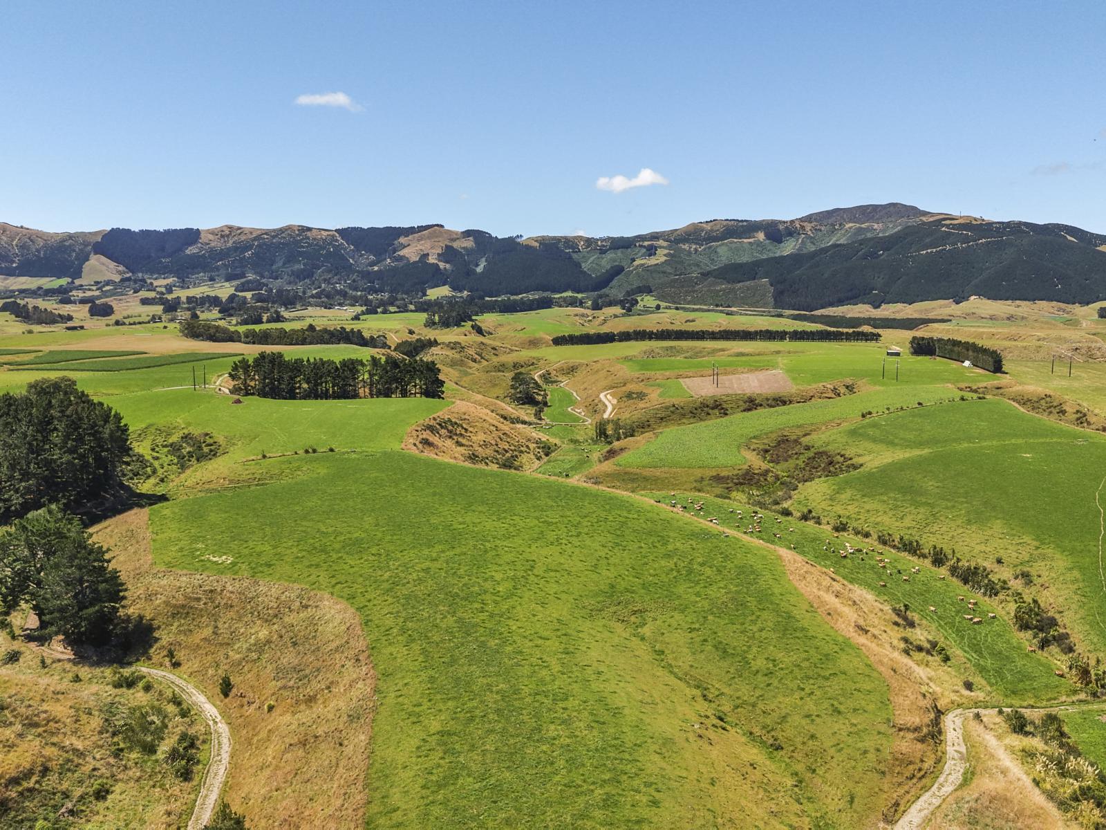 1347 Tennent Drive, Linton