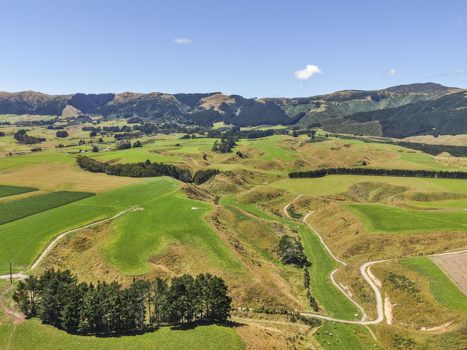 1347 Tennent Drive, Linton