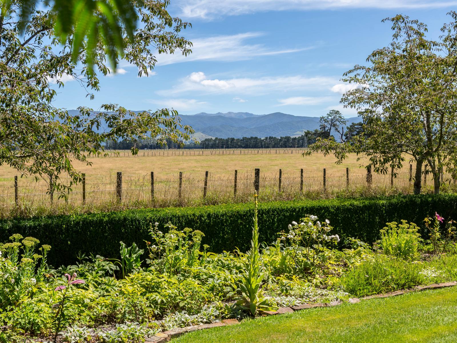 80 Battersea Road, Morisons Bush