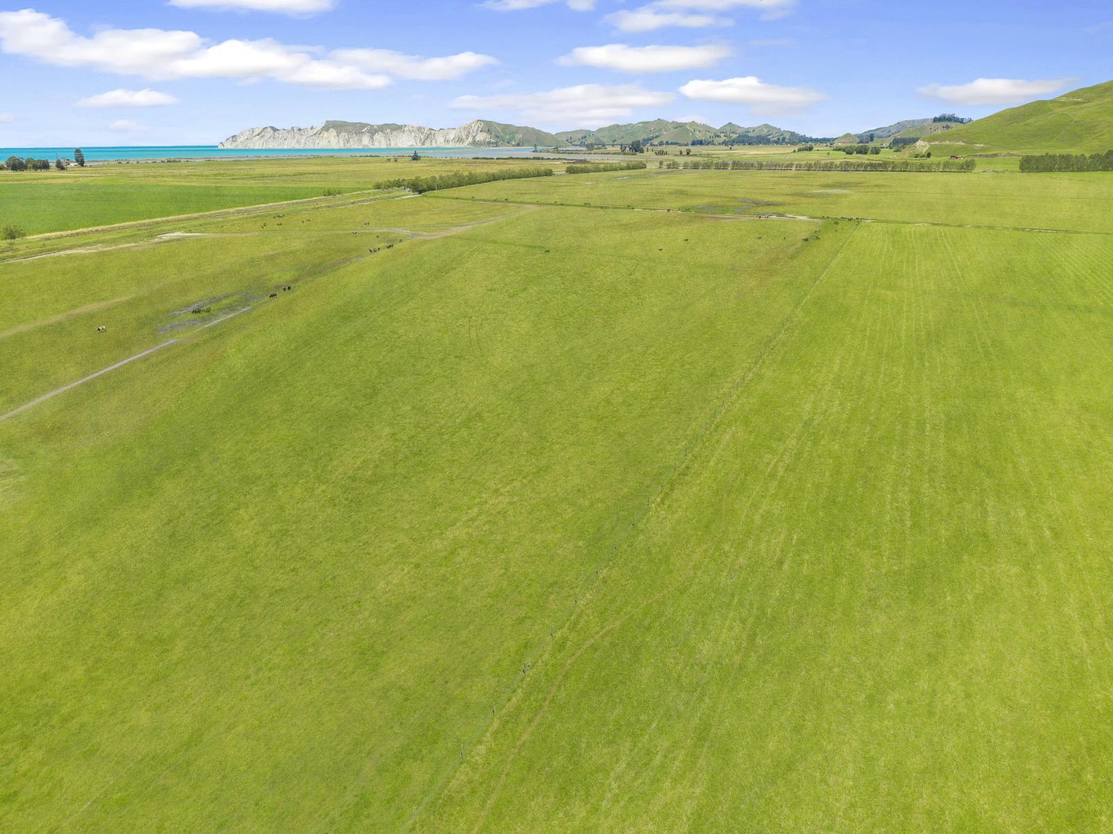 1343 Wharerata Road, Muriwai