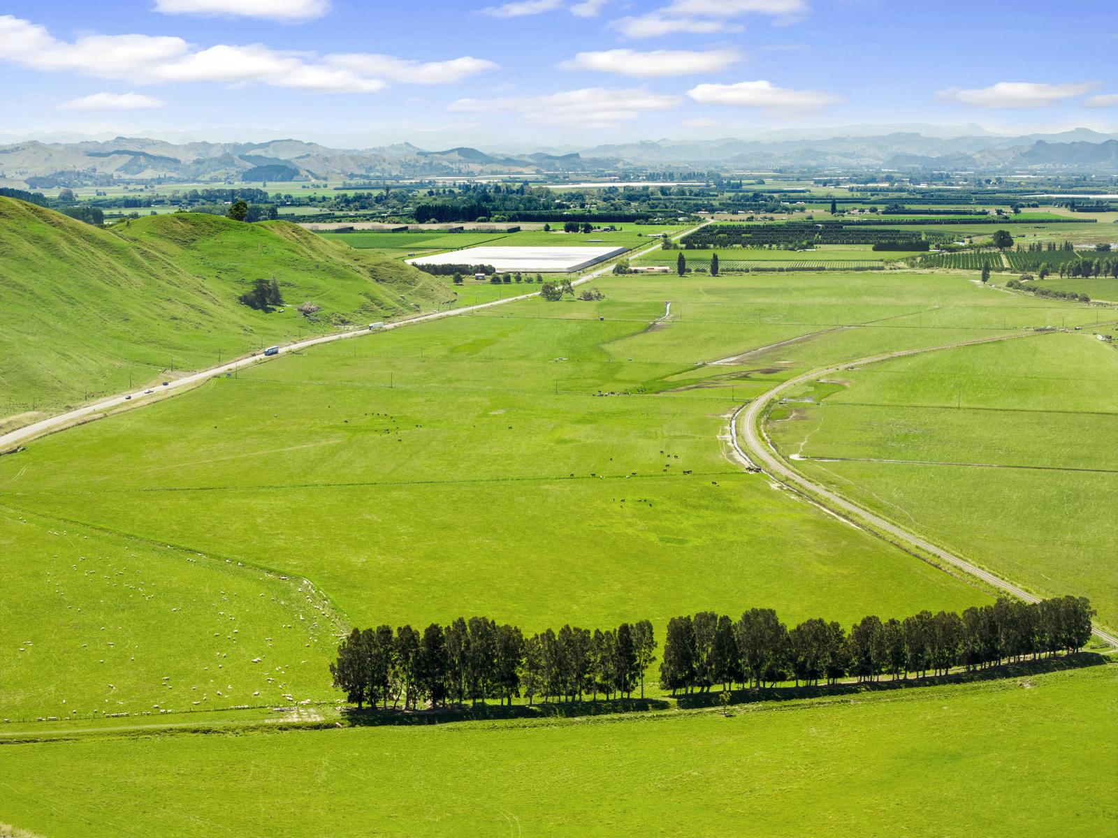 1343 Wharerata Road, Muriwai