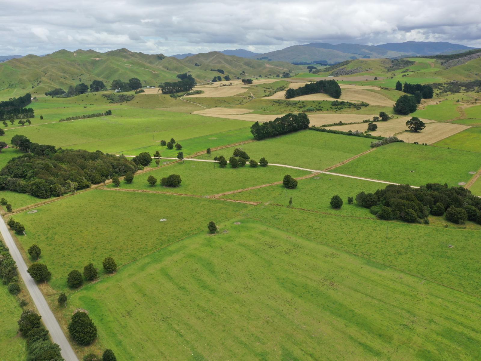 172 Kakariki West Road, Eketahuna