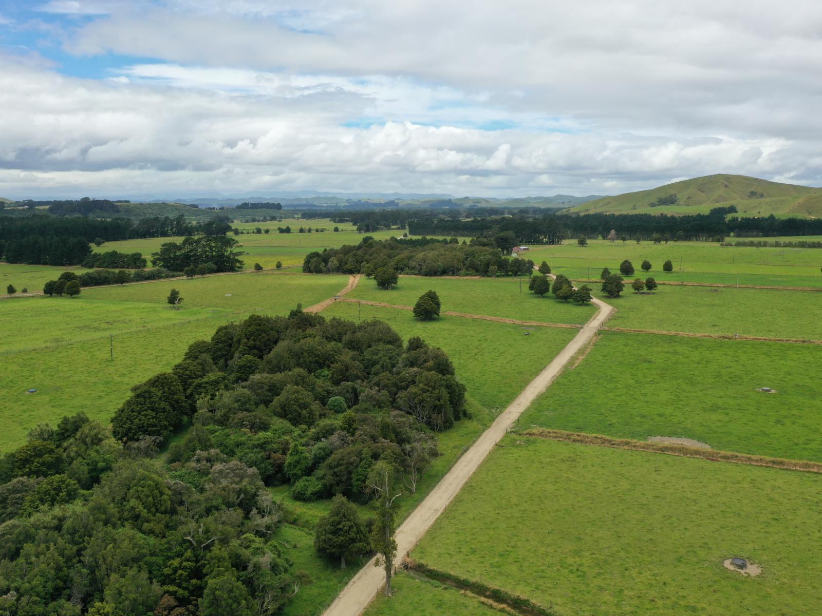 172 Kakariki West Road, Eketahuna