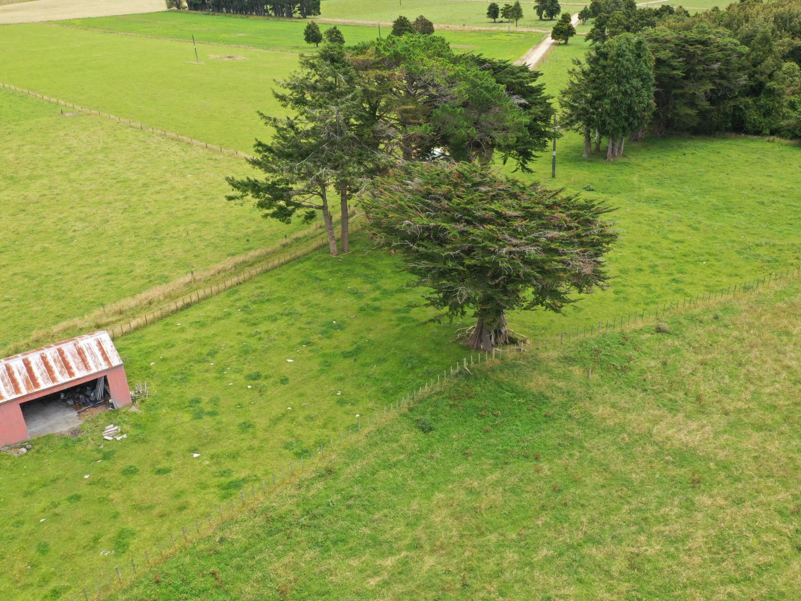 172 Kakariki West Road, Eketahuna