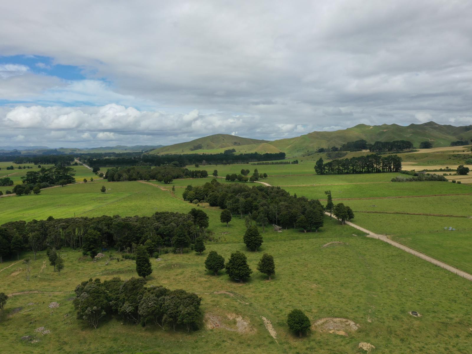 172 Kakariki West Road, Eketahuna