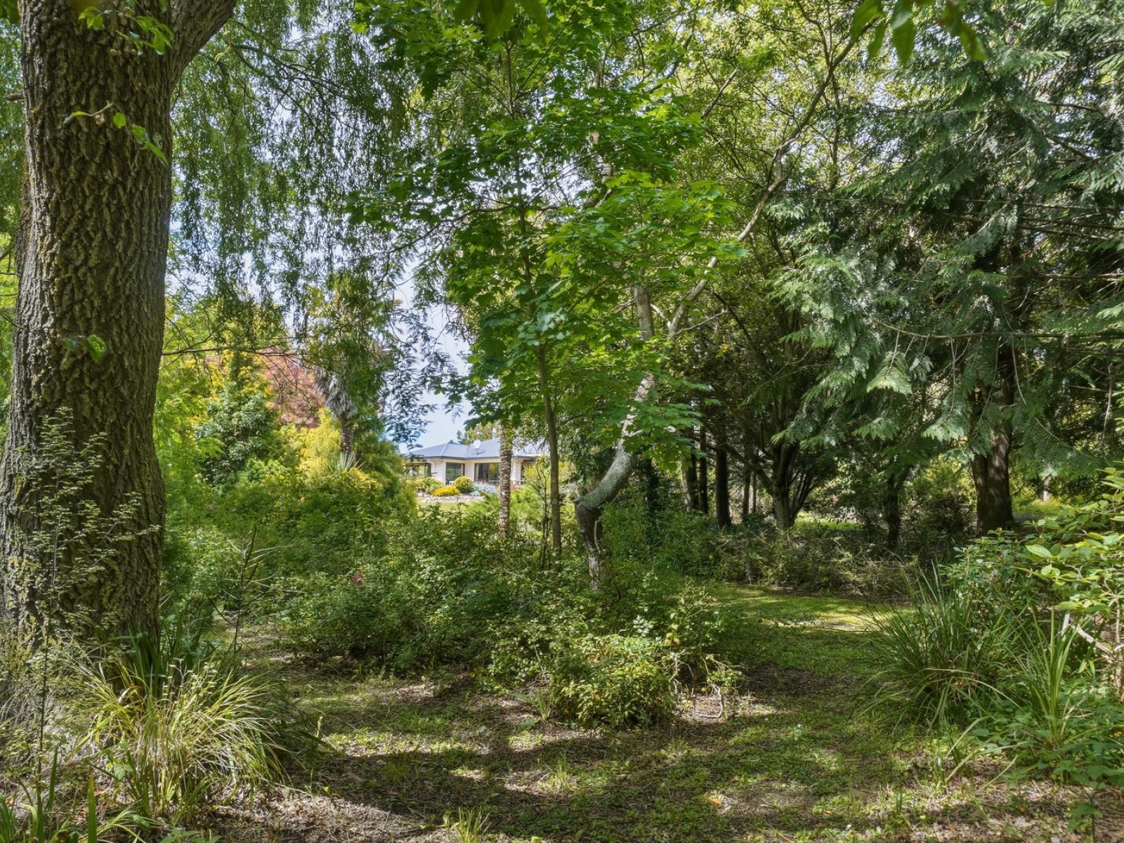 125 Forestry Road, Ashley