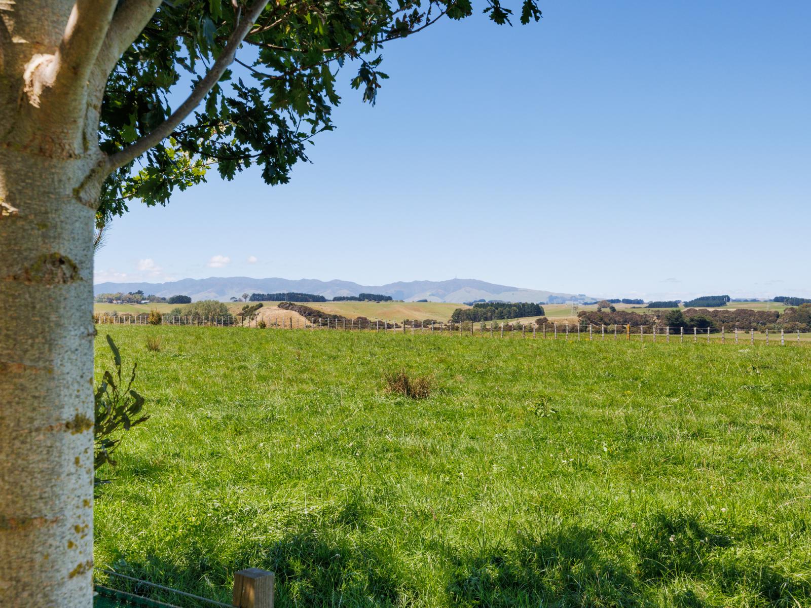 572 Taonui Road, Colyton