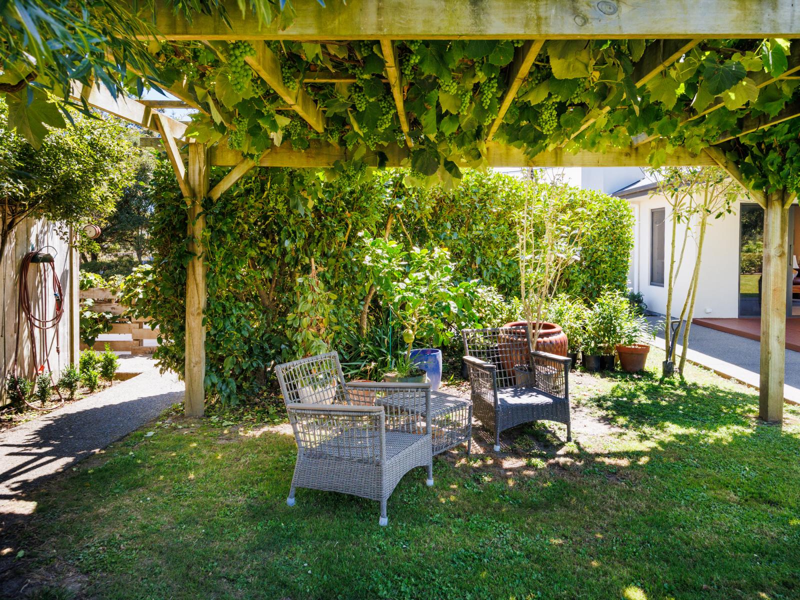 572 Taonui Road, Colyton