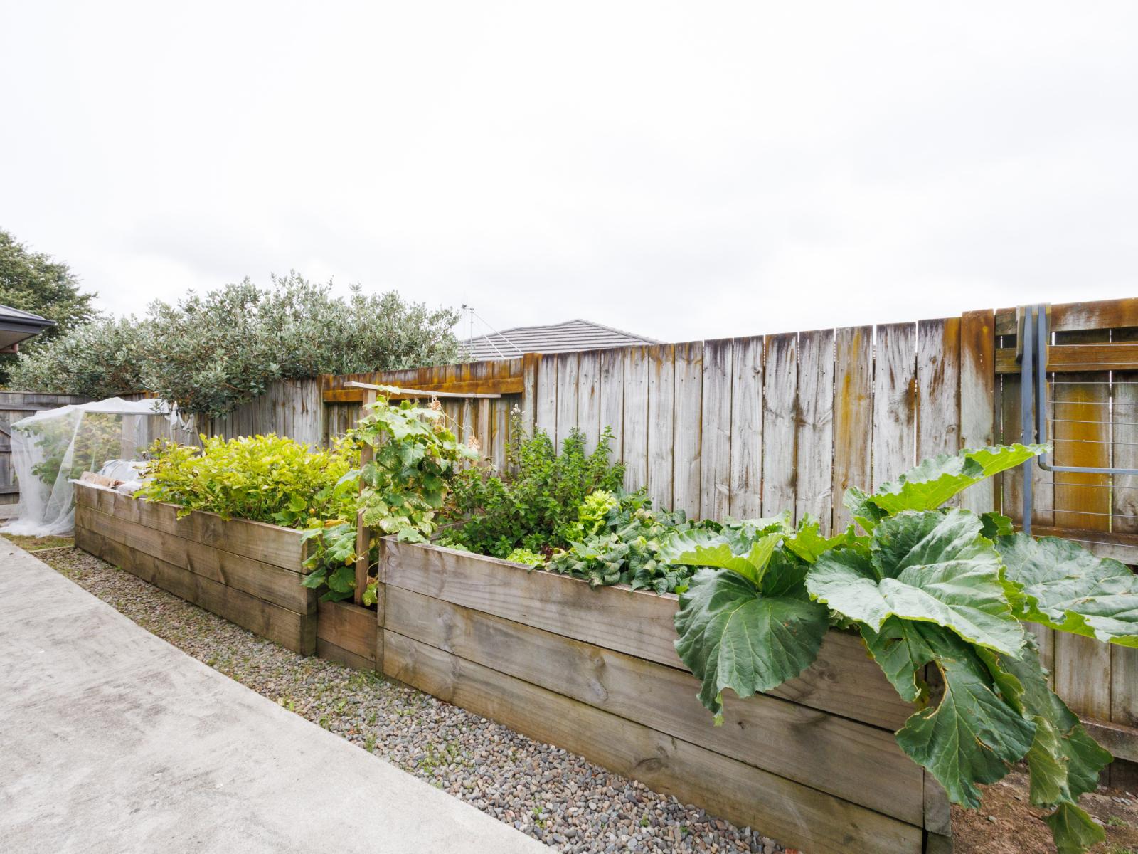 18 Oak Crescent, Ashhurst