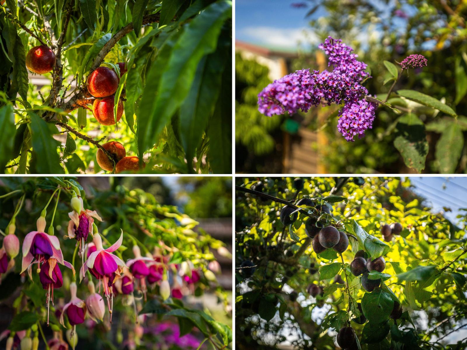 65 Bignell Street, Gonville