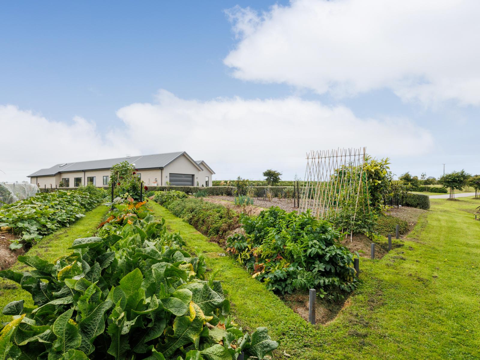 581 Lethbridge Road, Halcombe