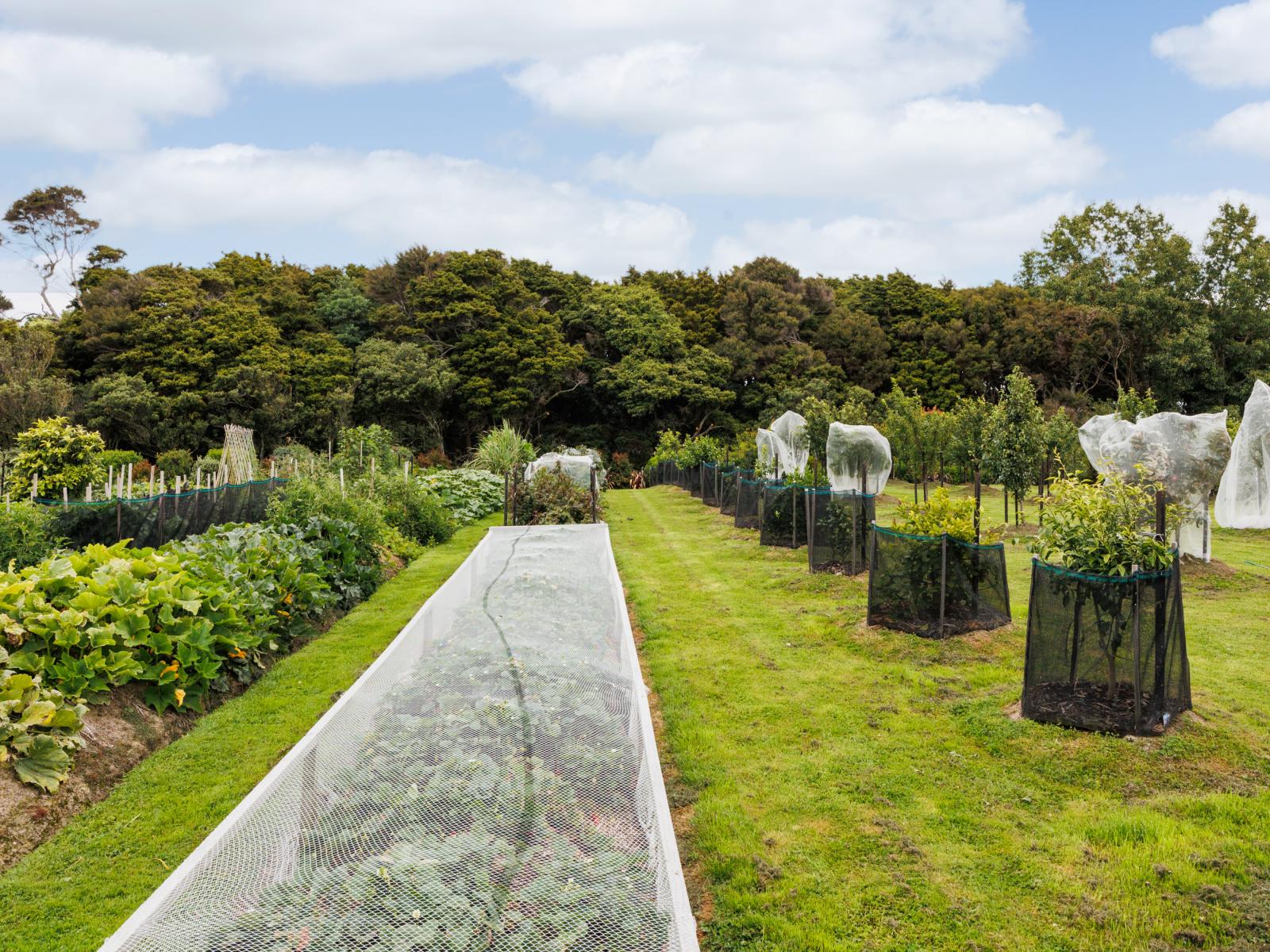 581 Lethbridge Road, Halcombe