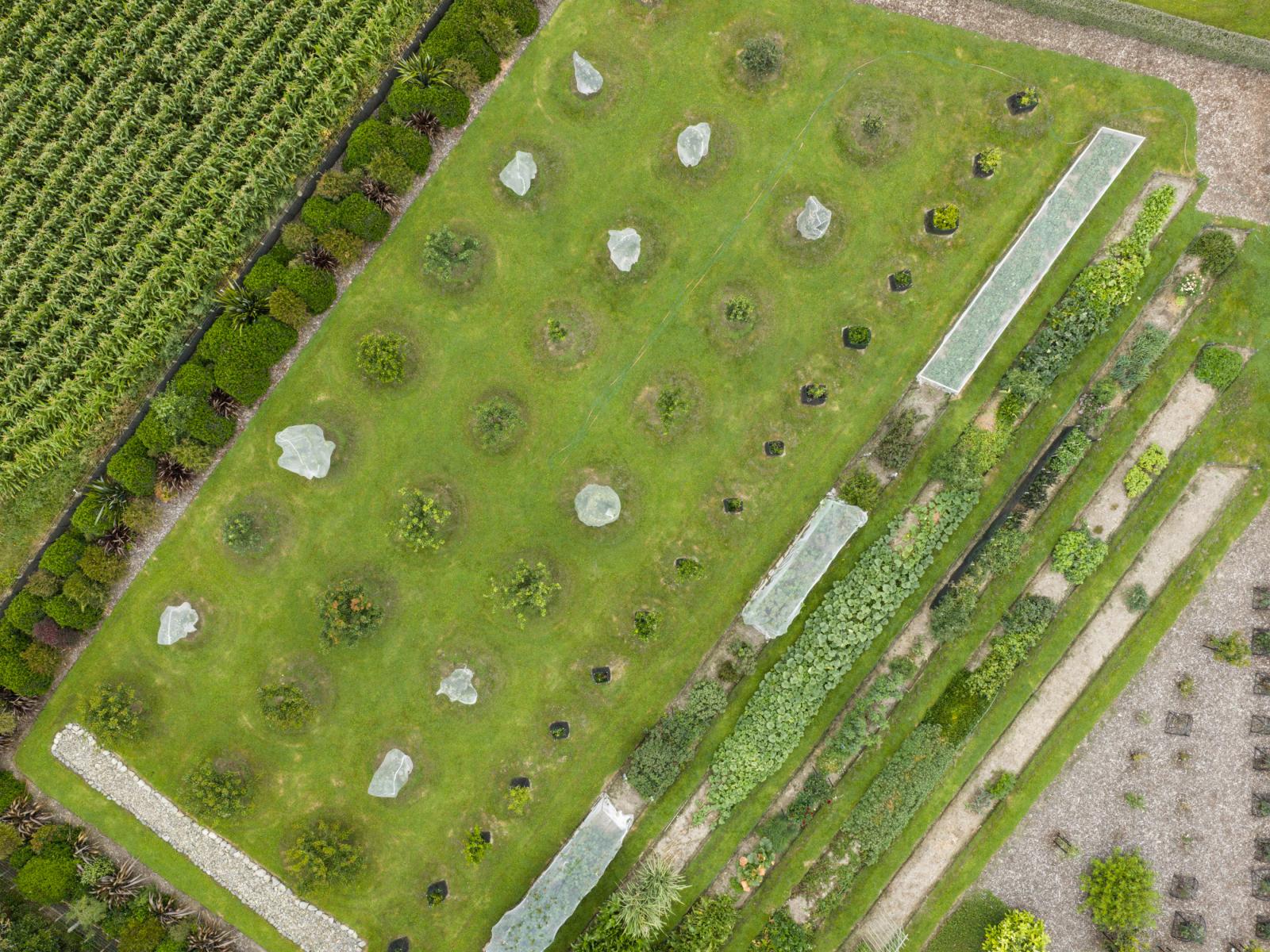 581 Lethbridge Road, Halcombe