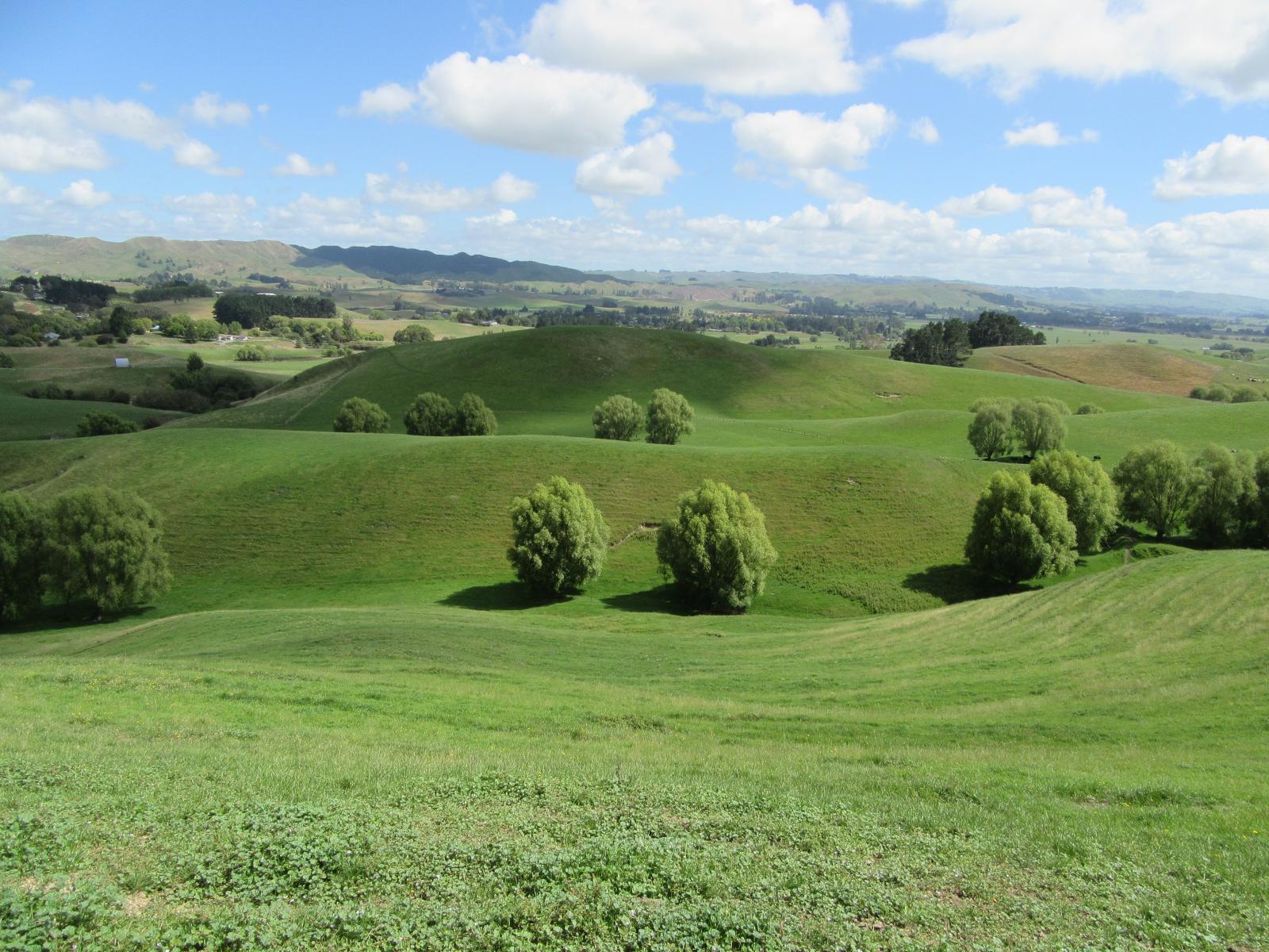 153 Homewood Road, Waipawa