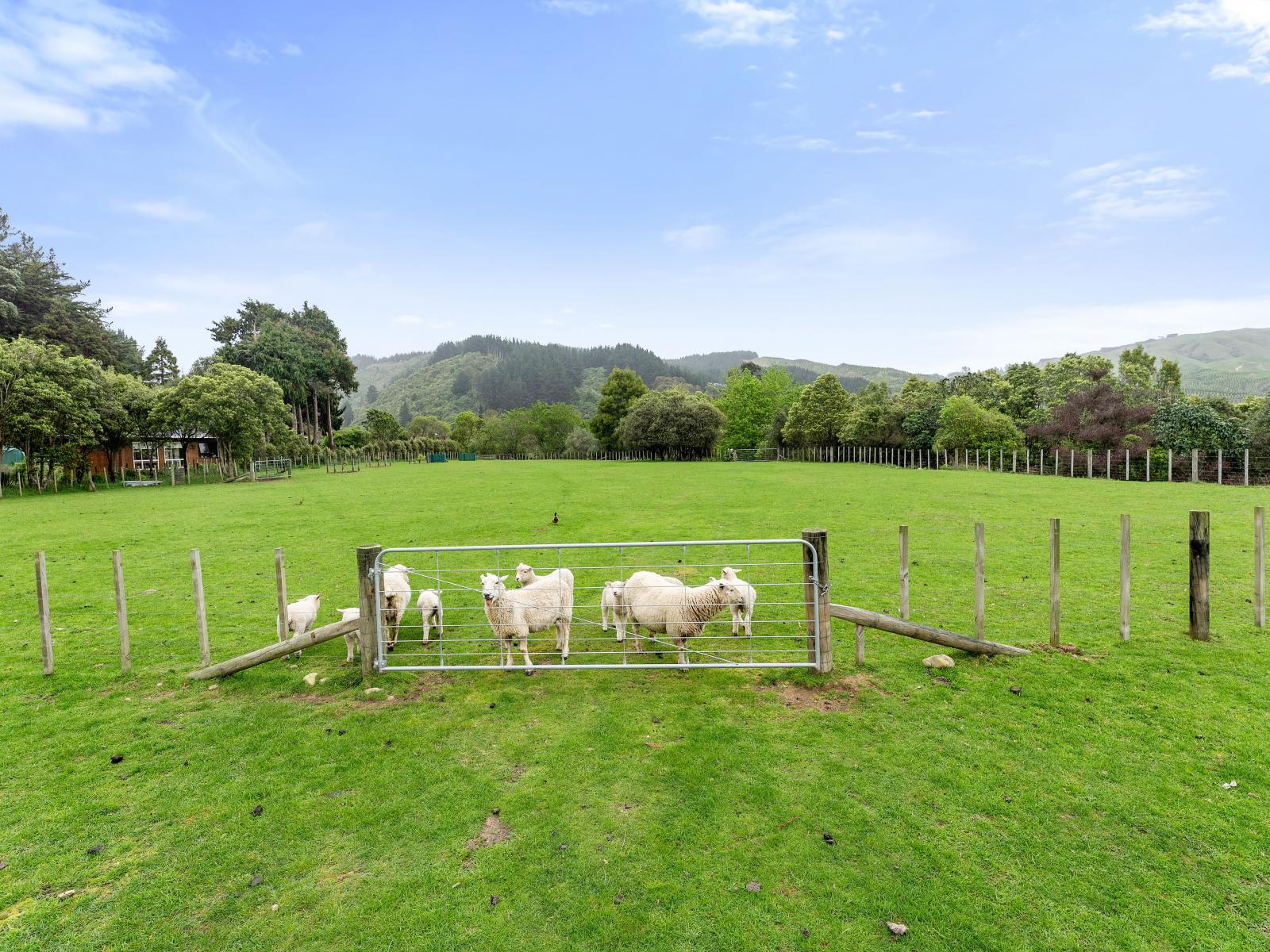 76 Parenga Road, Hautere