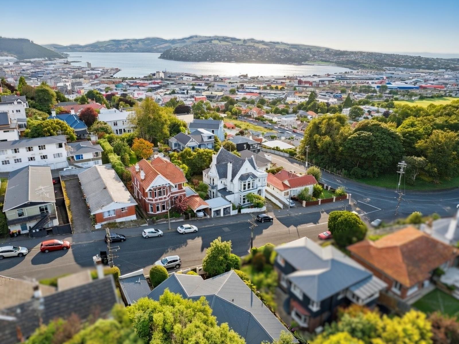 9 William Street, Dunedin Central