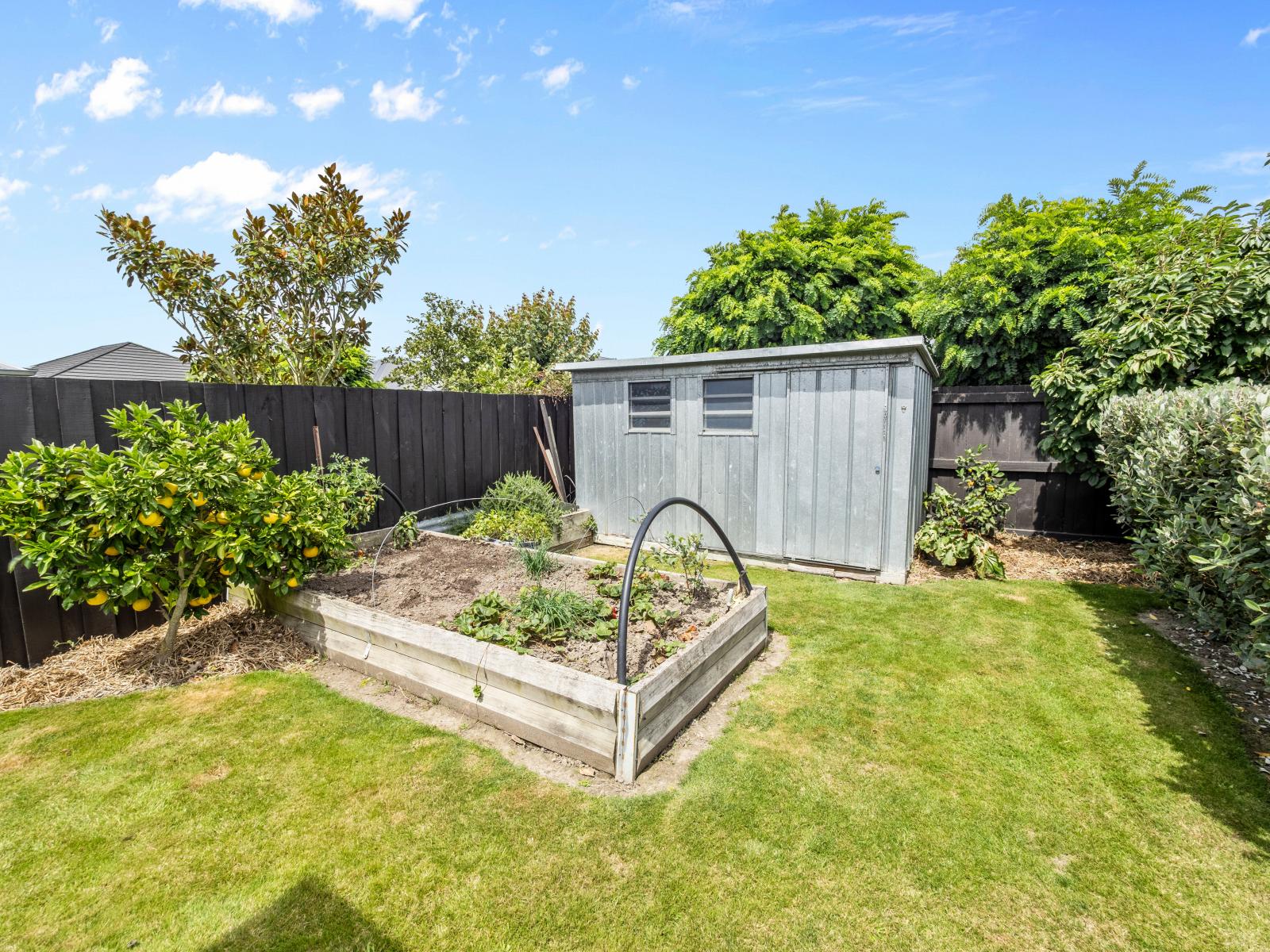 20 Magnolia Drive, Netherby