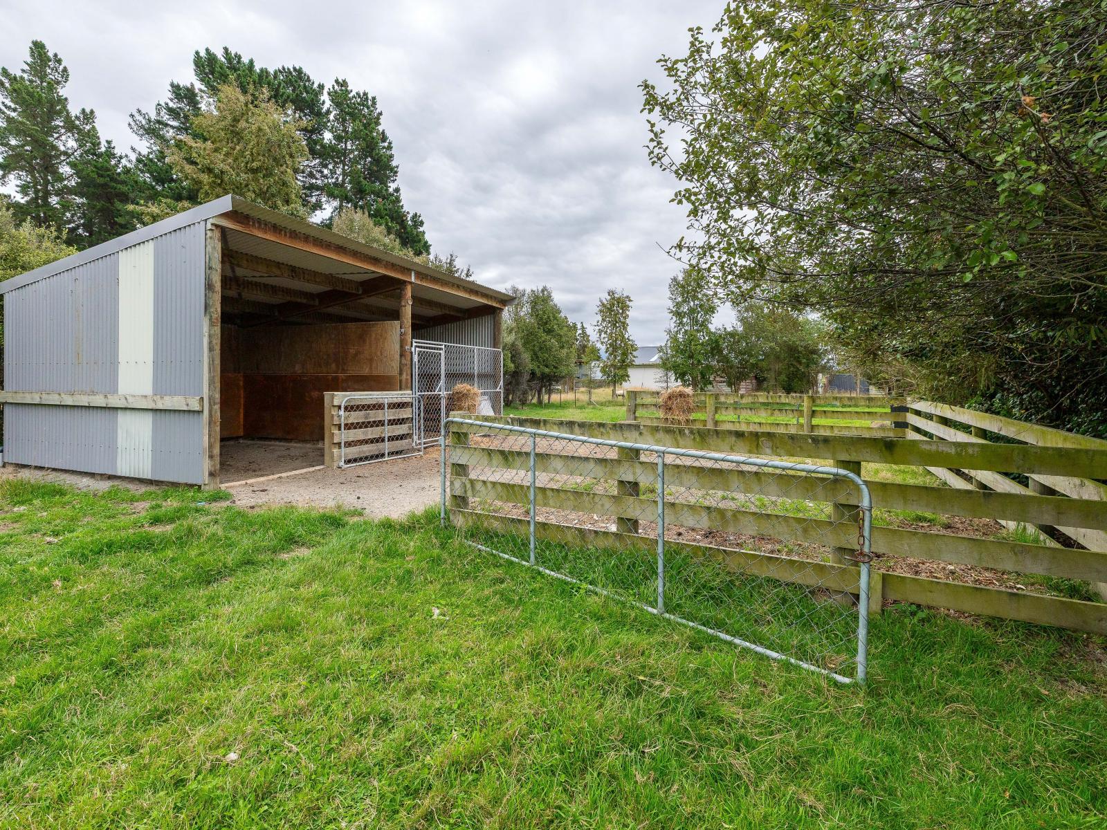 116 Molloys Road, Waimate