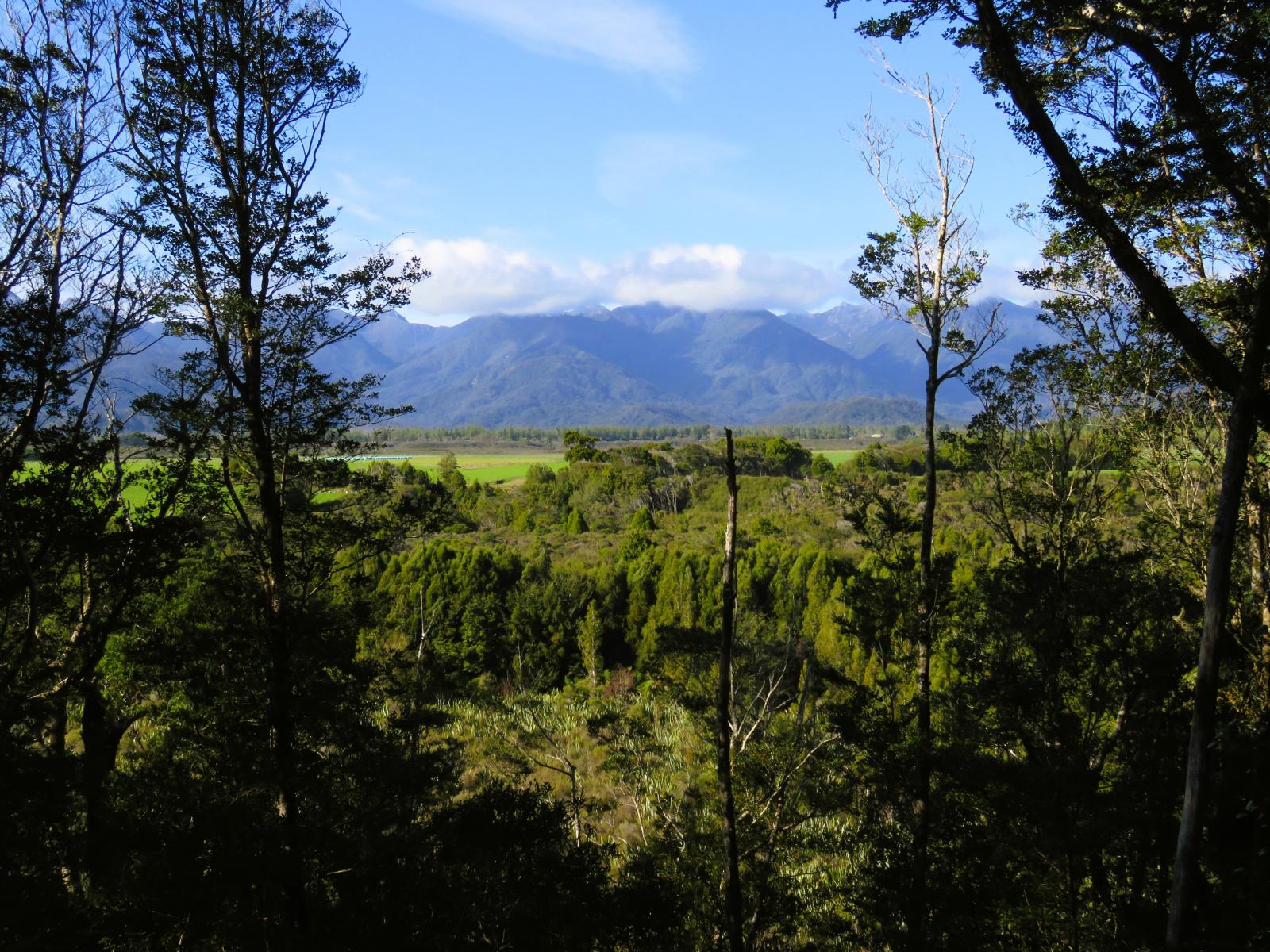 5/1290 Tanglefern Row, Charleston