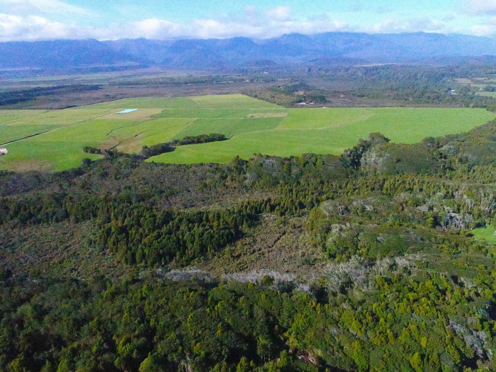 5/1290 Tanglefern Row, Charleston