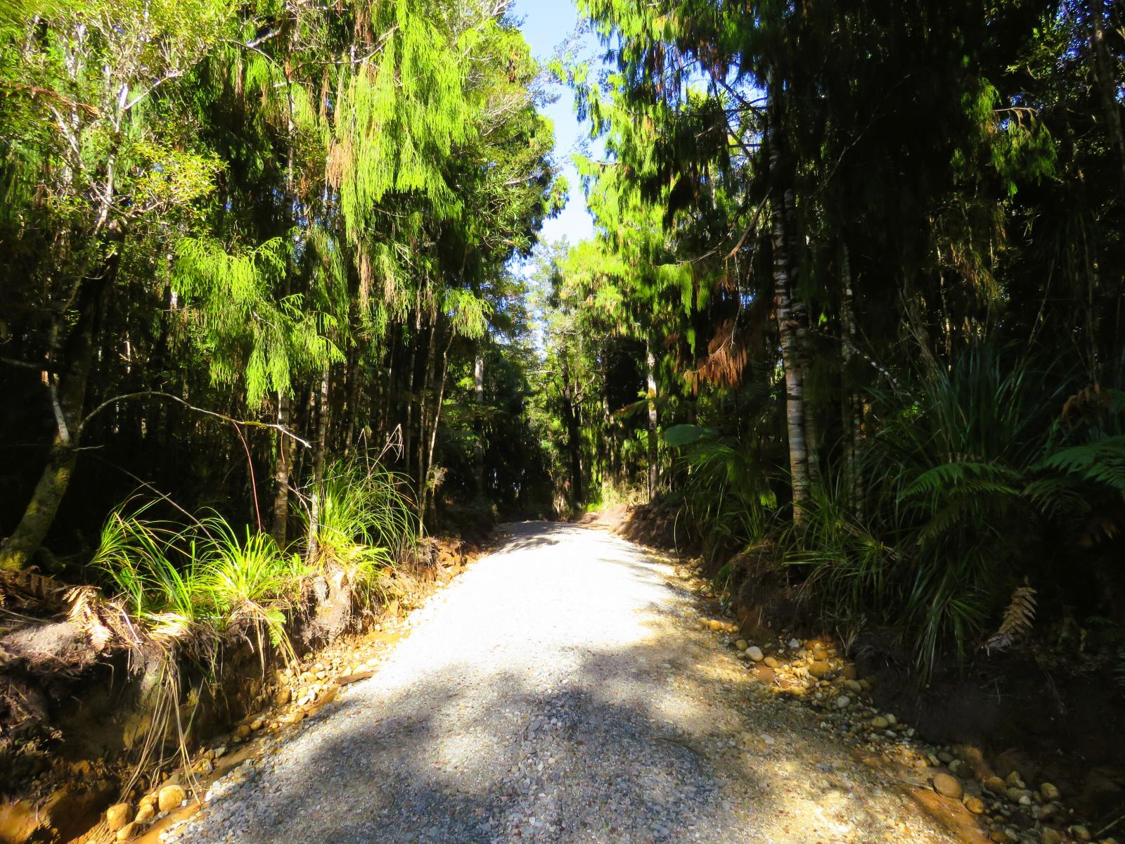 5/1290 Tanglefern Row, Charleston