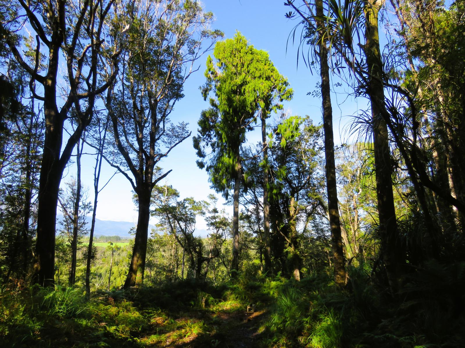 5/1290 Tanglefern Row, Charleston