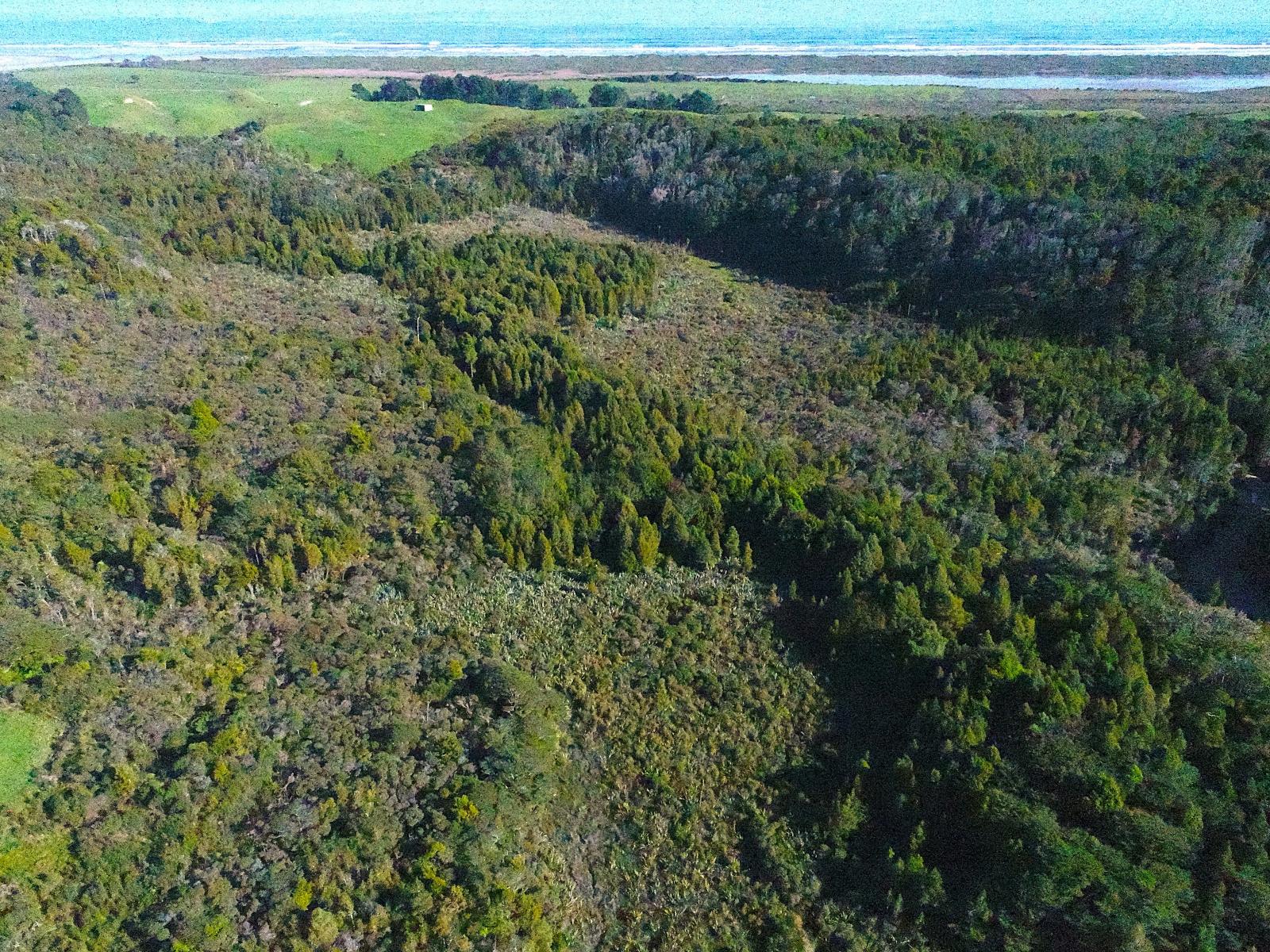 5/1290 Tanglefern Row, Charleston