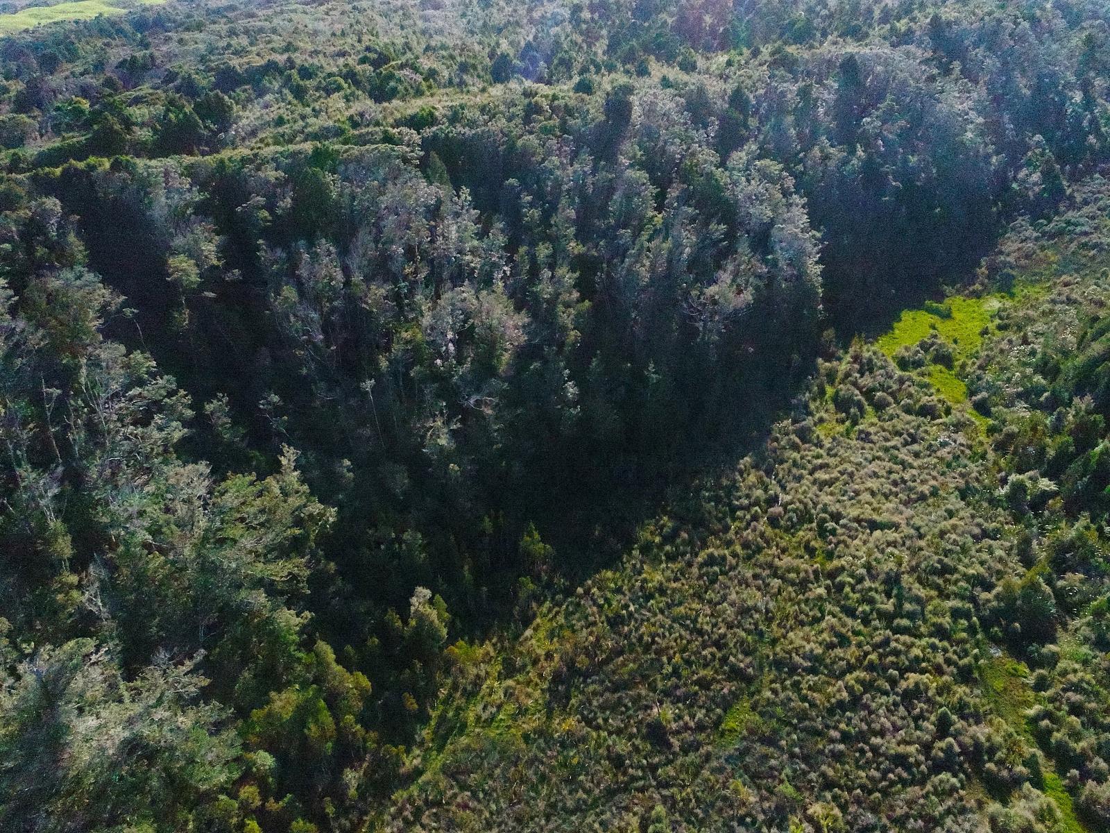 5/1290 Tanglefern Row, Charleston