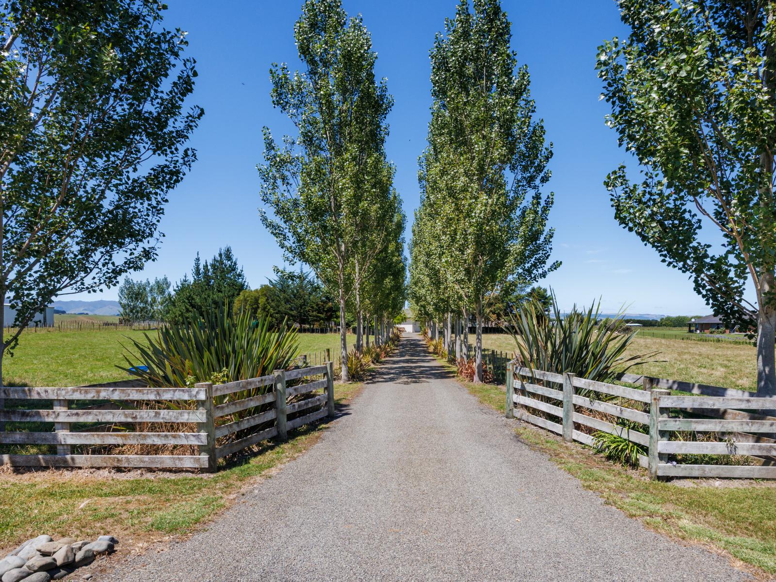 572 Taonui Road, Colyton
