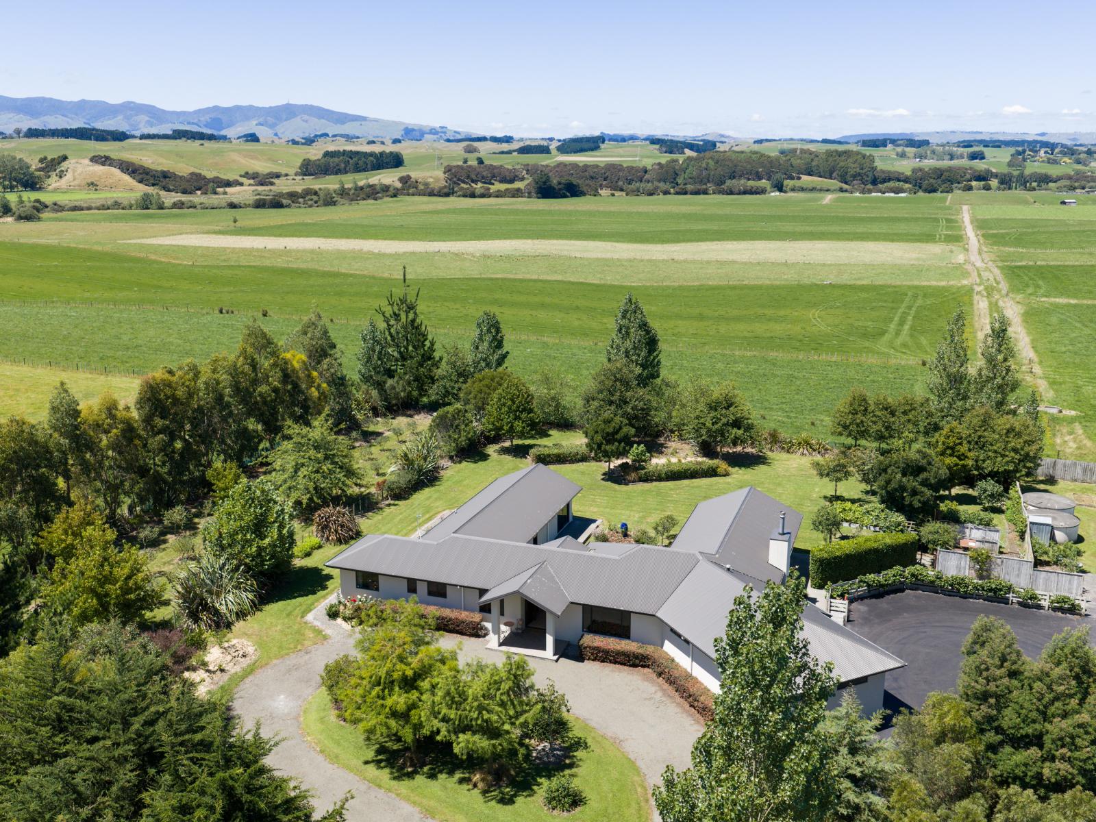 572 Taonui Road, Colyton