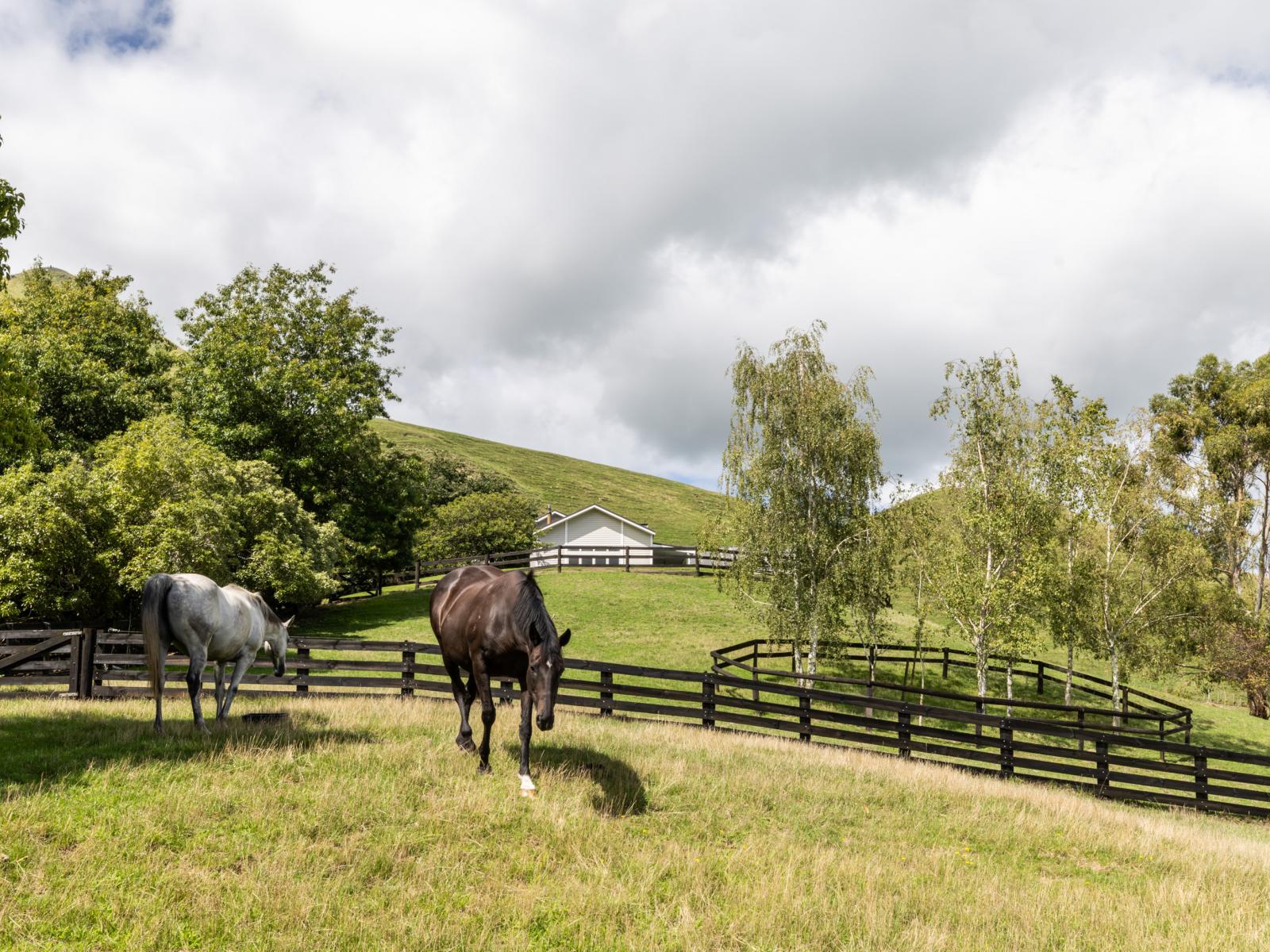 134 Cohrs Road, Poukawa