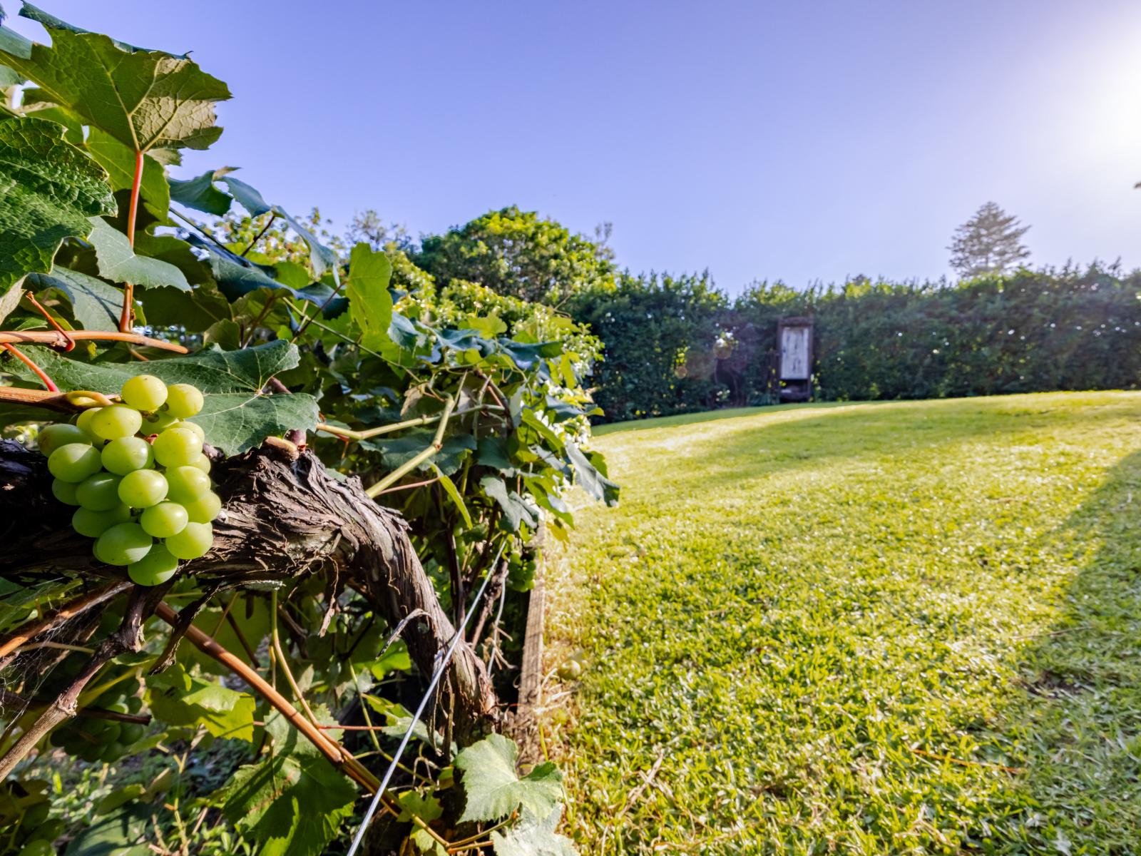 6/3382 Pourerere Road, Waipawa